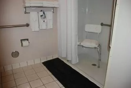 Holiday Inn Express Hotel & Suites Fenton/I-44 by IHG