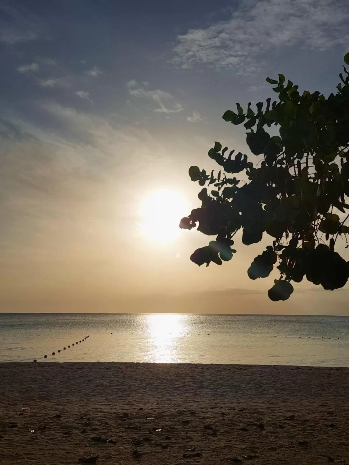 Sea view in Yellow Bird Sea