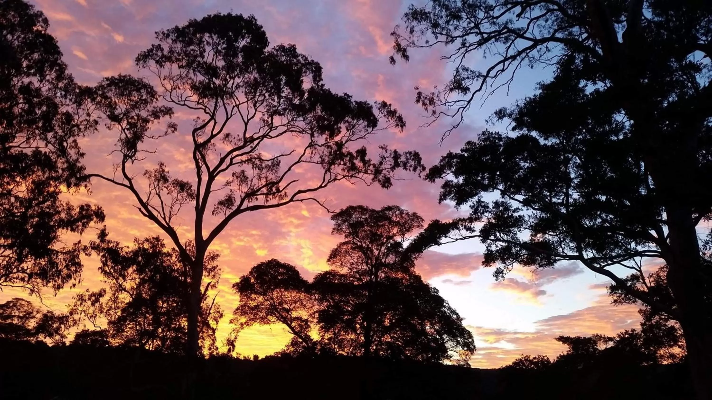 Other in Mapleton Springs