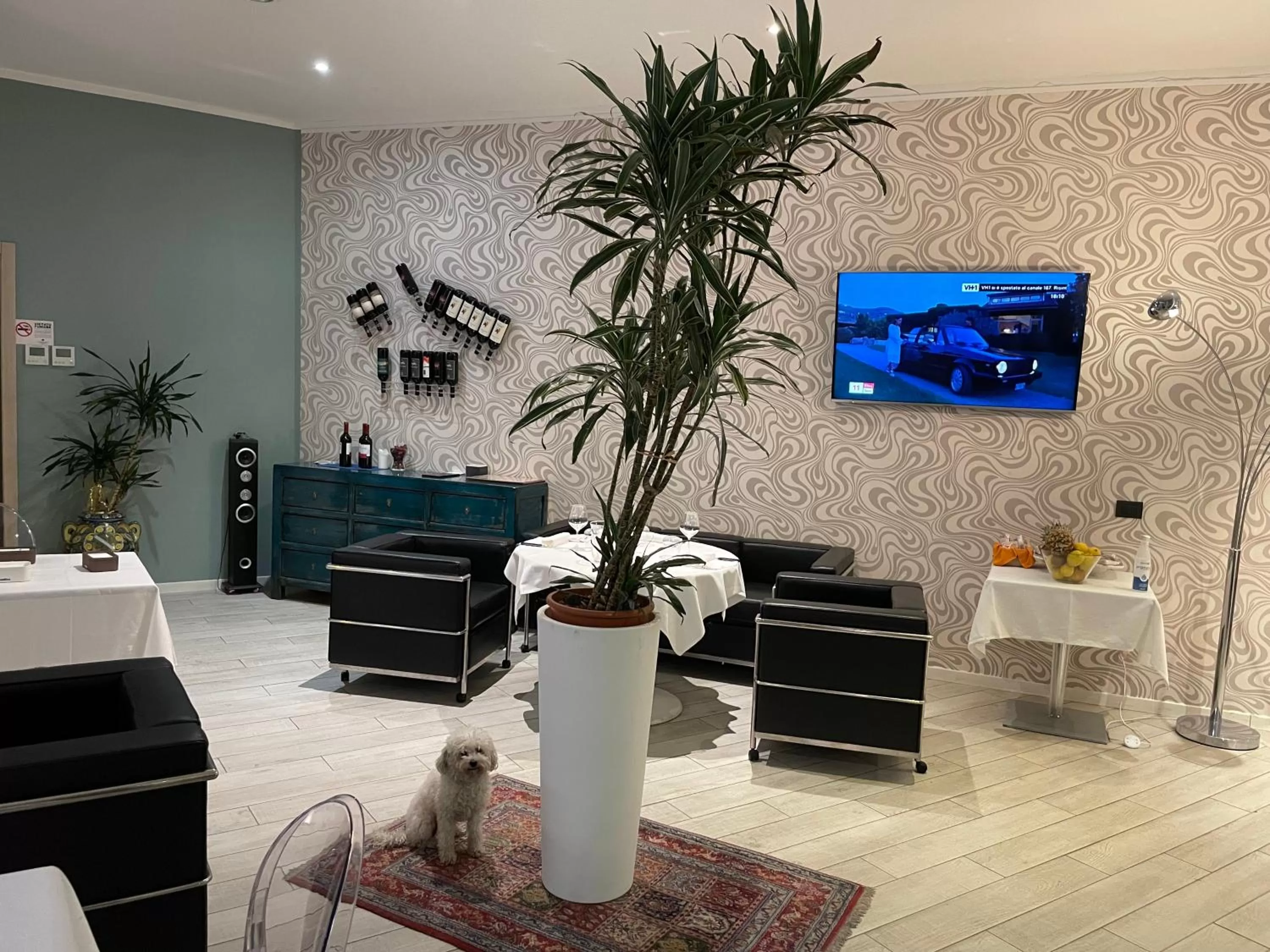 Restaurant/places to eat in Blue Shades Hotel