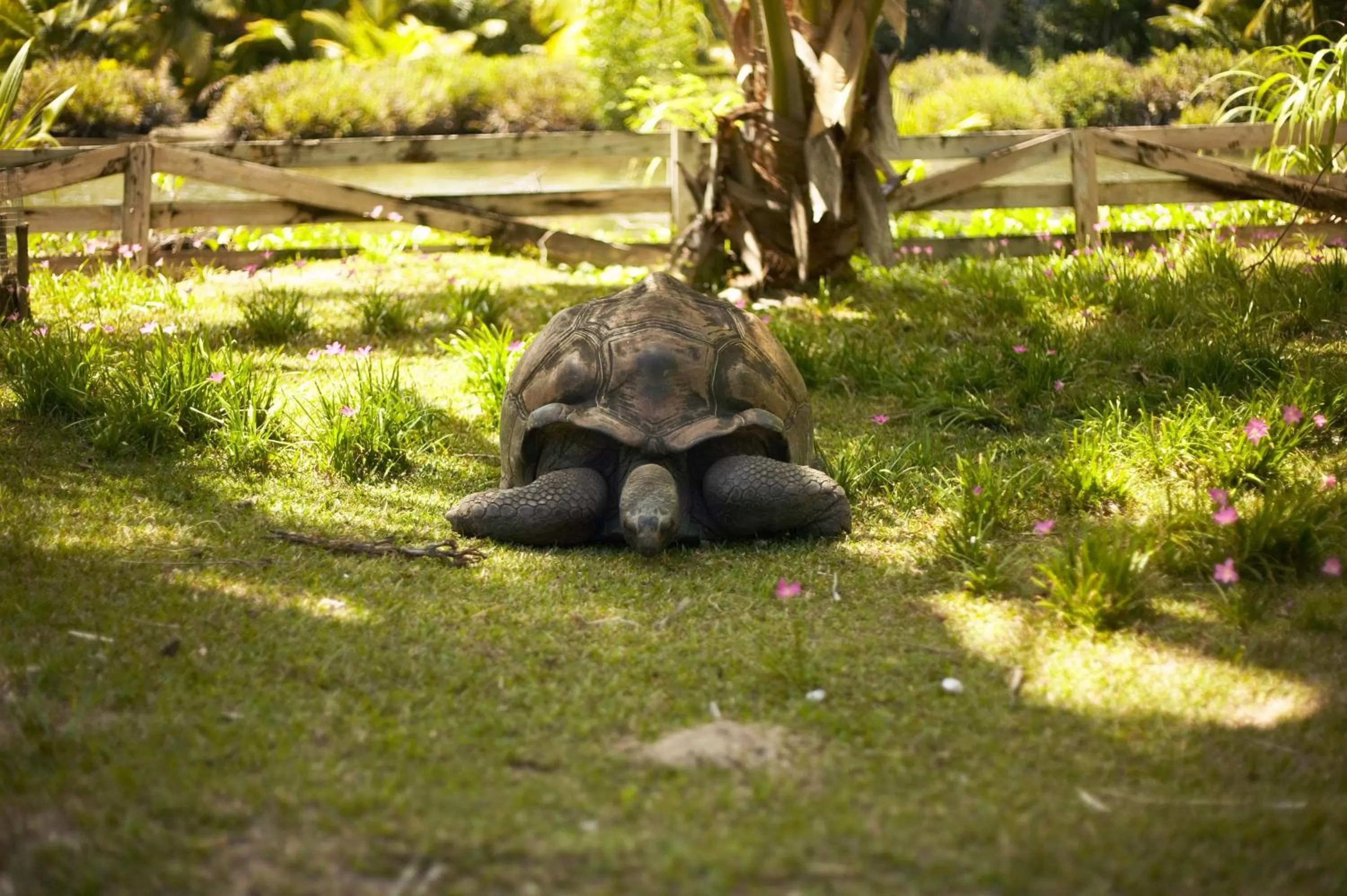 Property building in Hilton Seychelles Labriz Resort & Spa