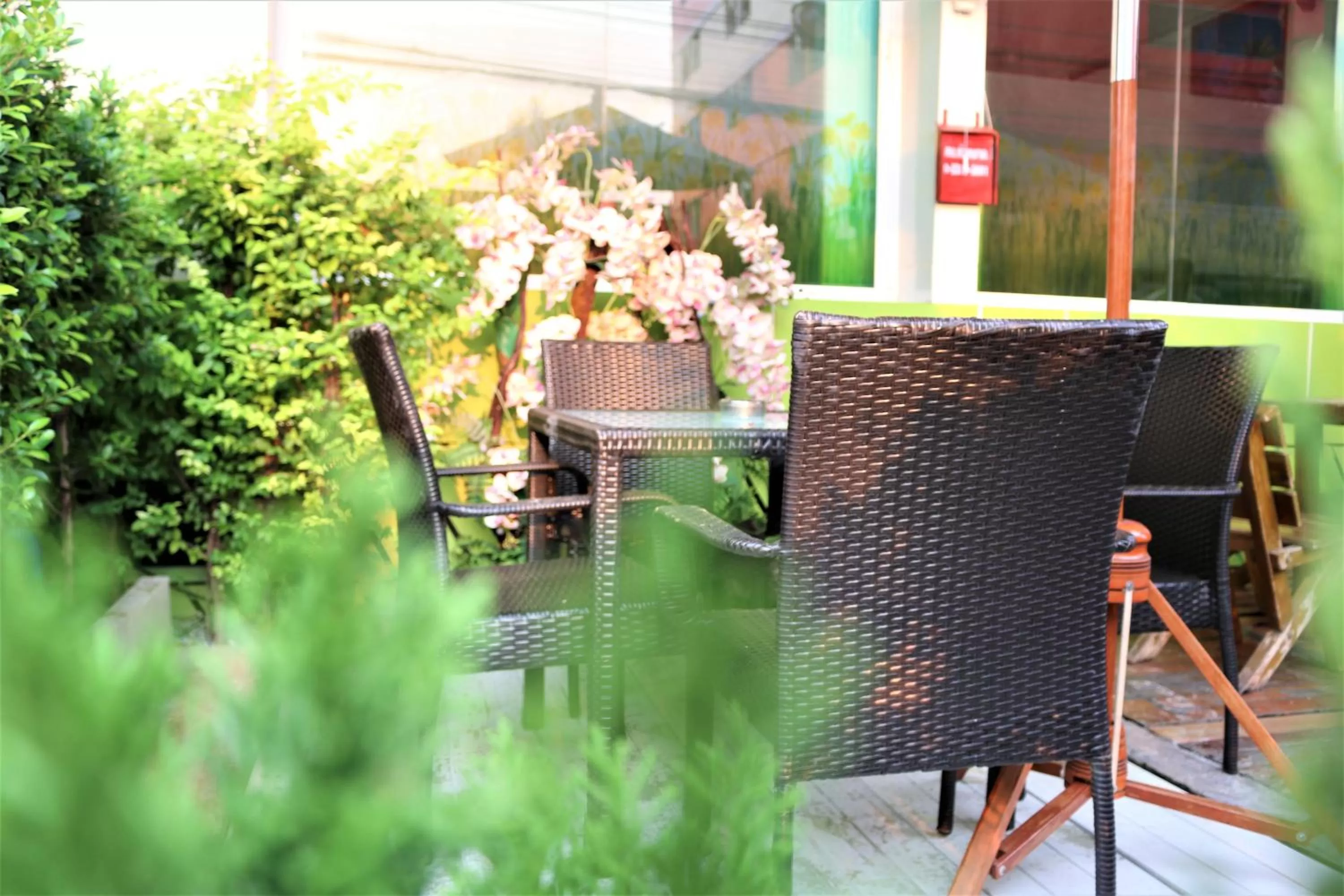 Garden view in Lucky Green View