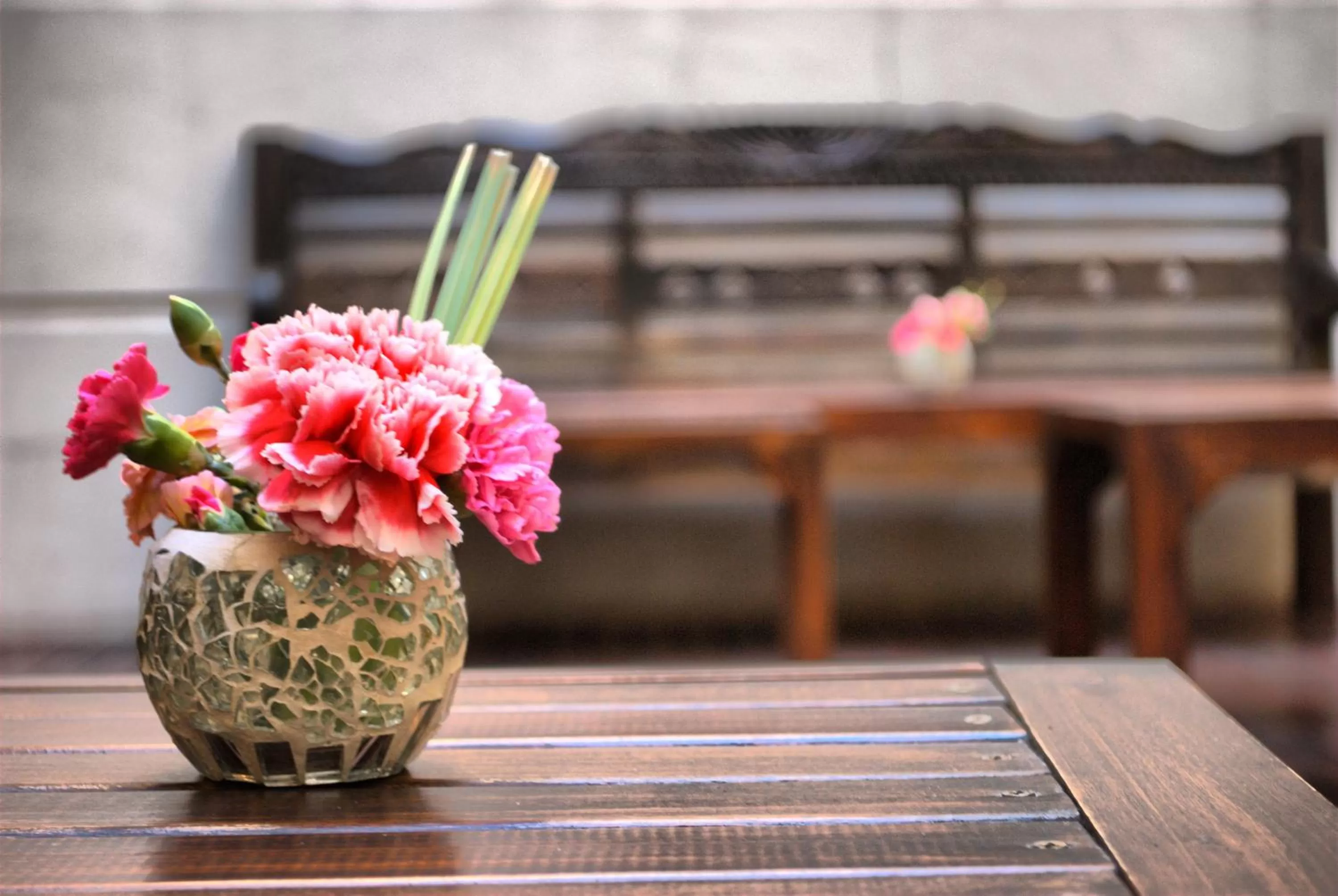 Garden view in Purobaires Hotel Boutique