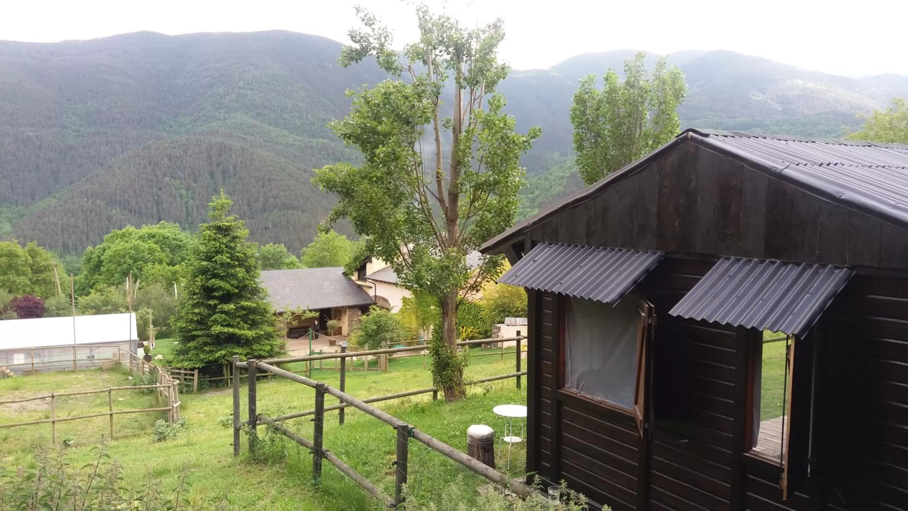 View (from property/room) in Hotel Cruells