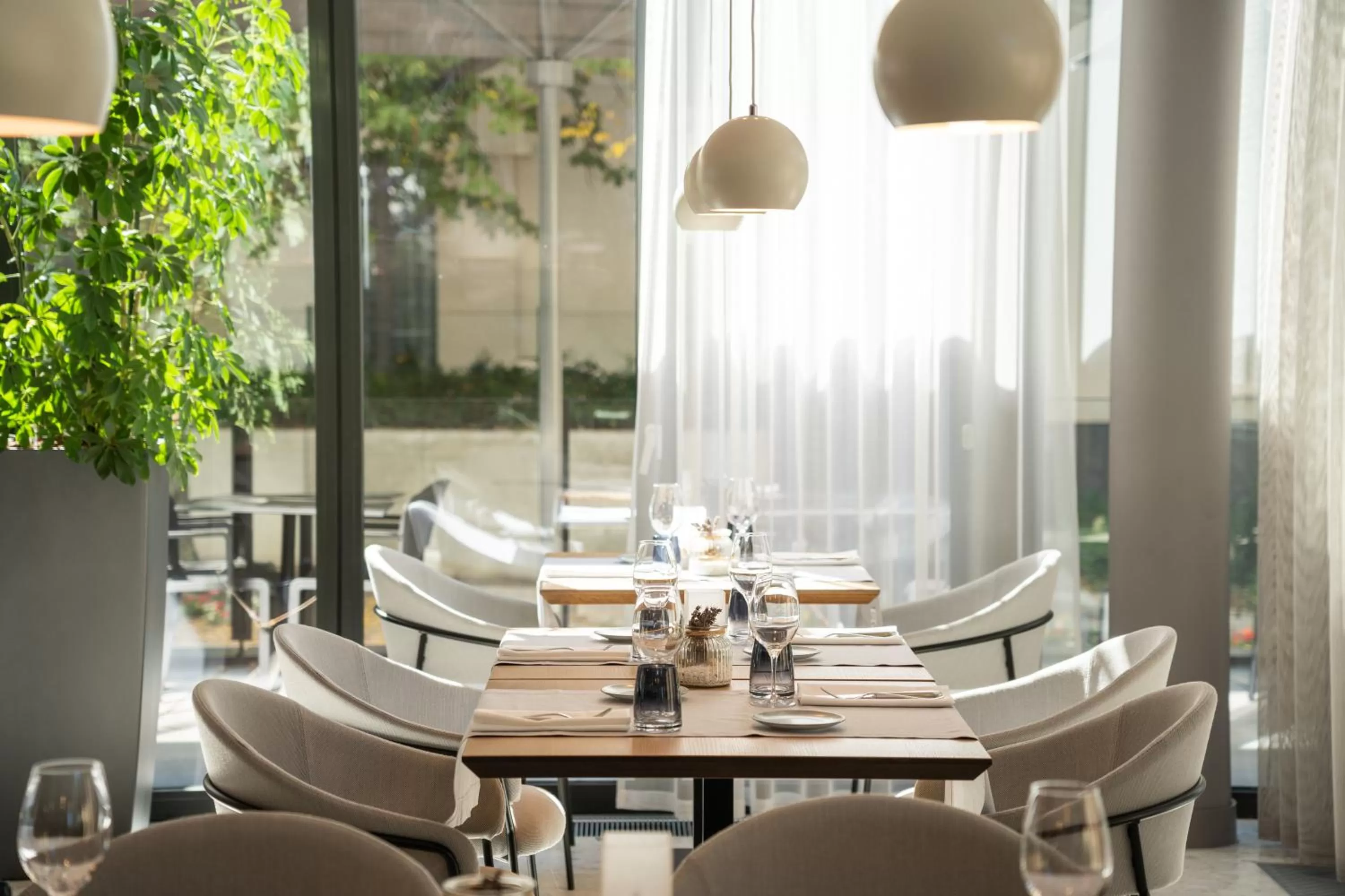 Restaurant/places to eat in Saline1822