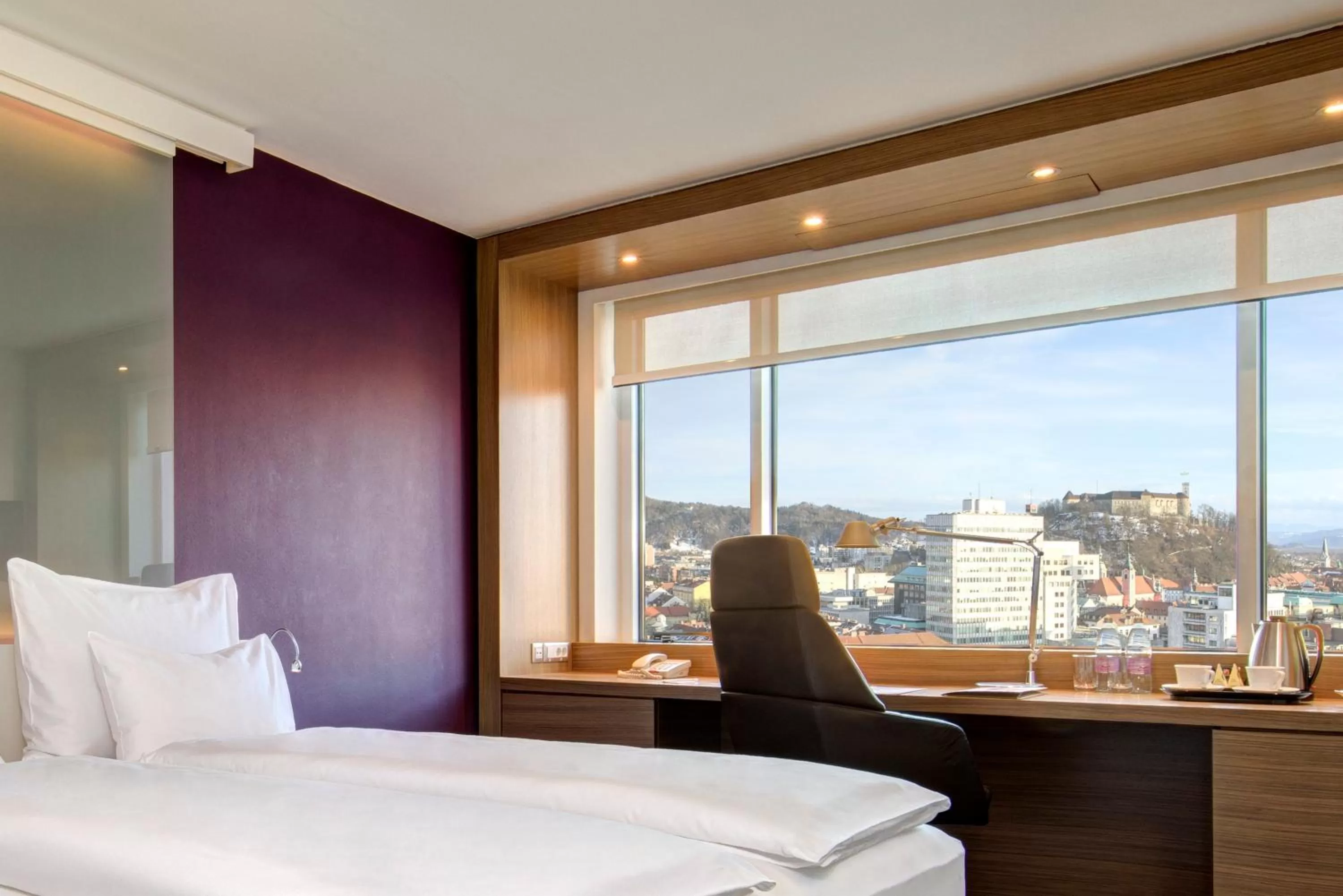 Executive Double or Twin Room with Castle View in Exe Lev