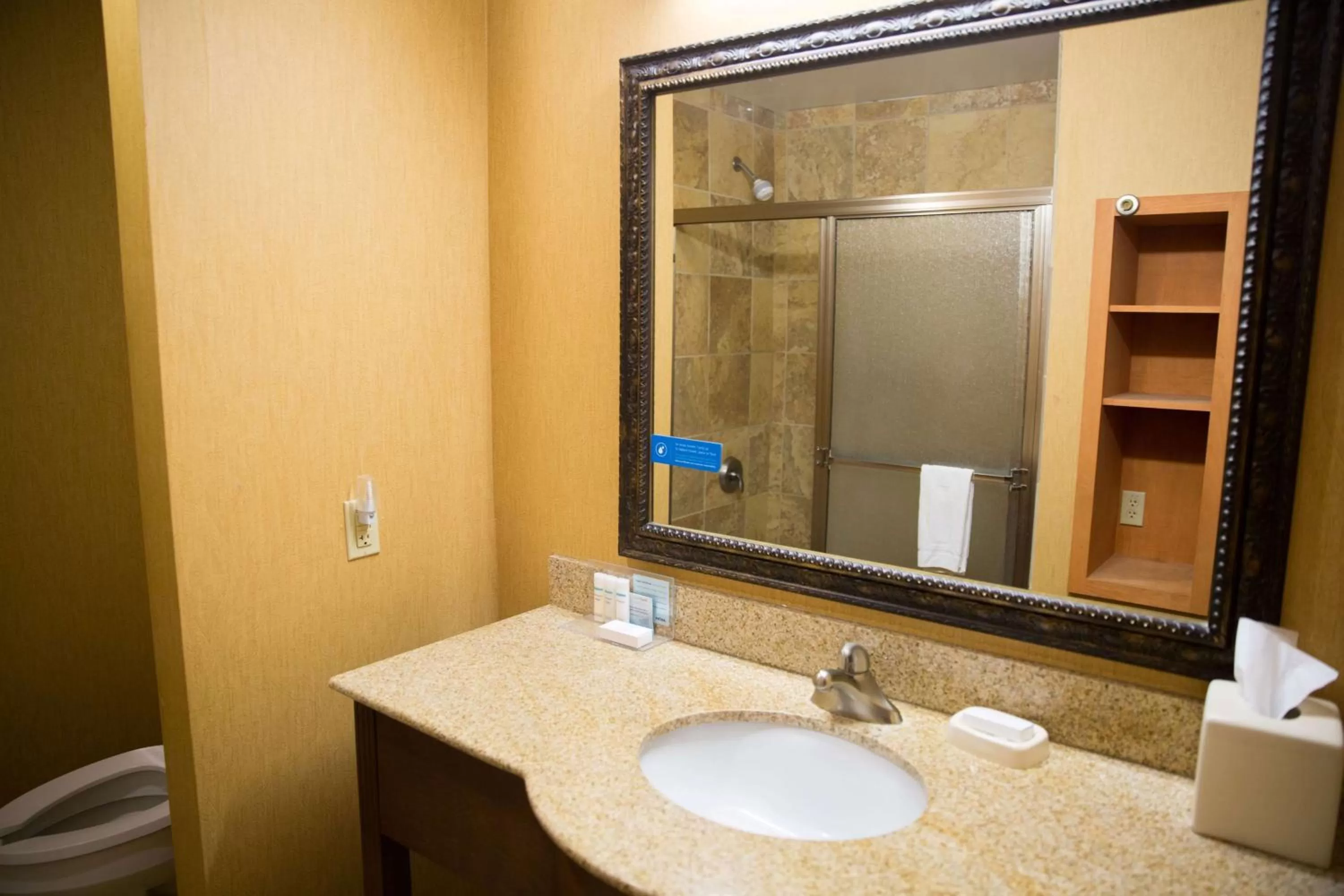 Bathroom in Hampton Inn & Suites Grenada