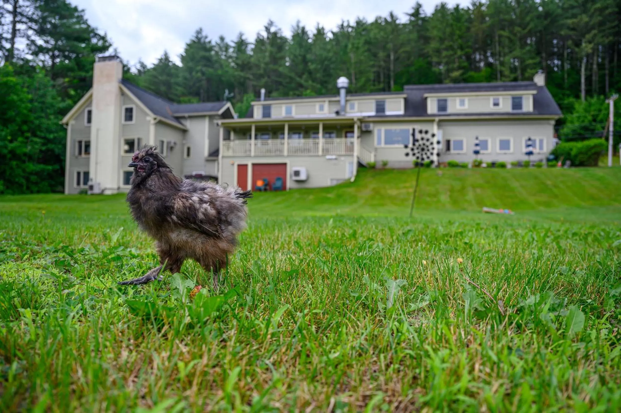 Property building in Brass Lantern Inn