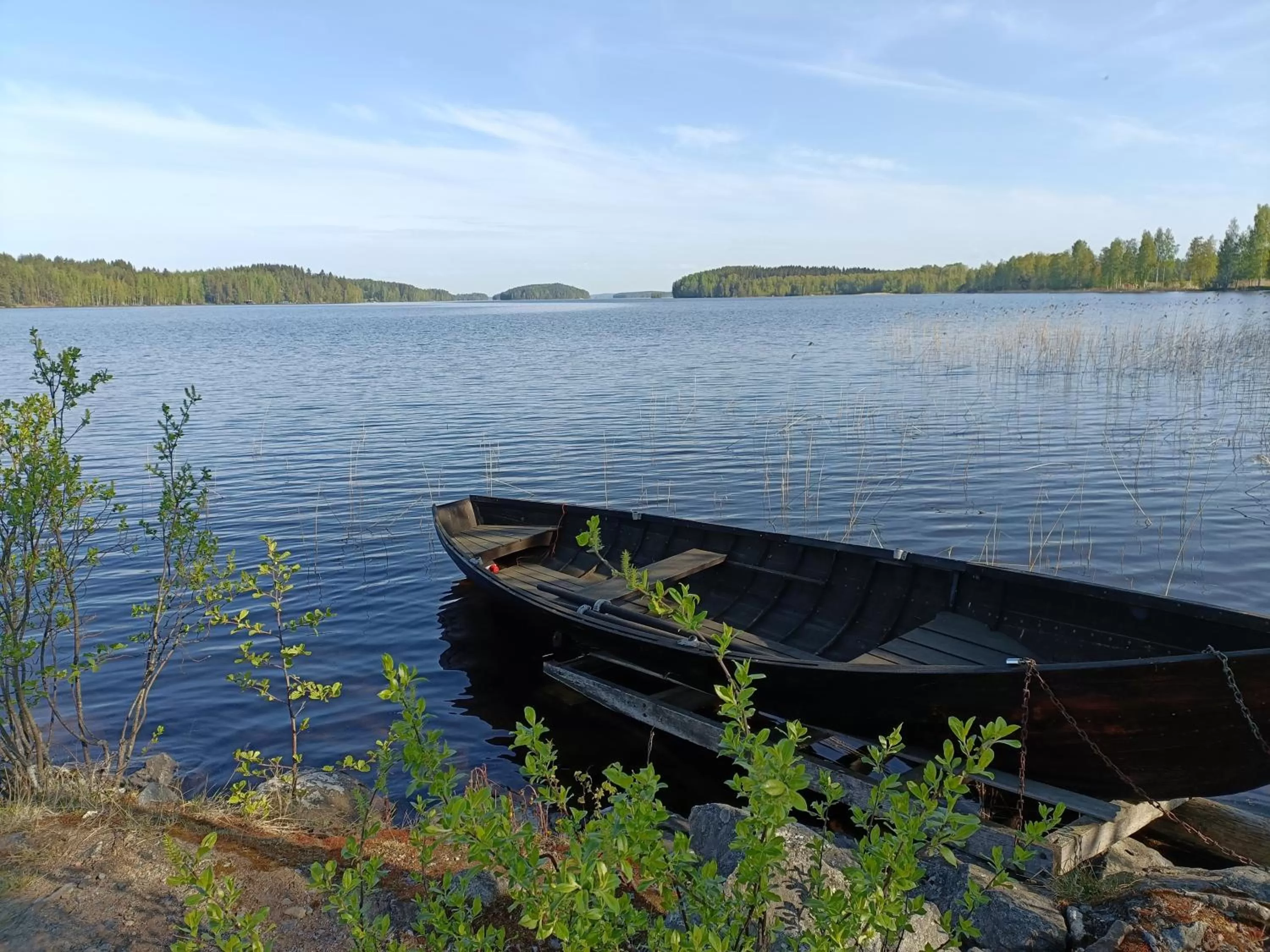 Day in Cronin's Guesthouse Bed & Breakfast