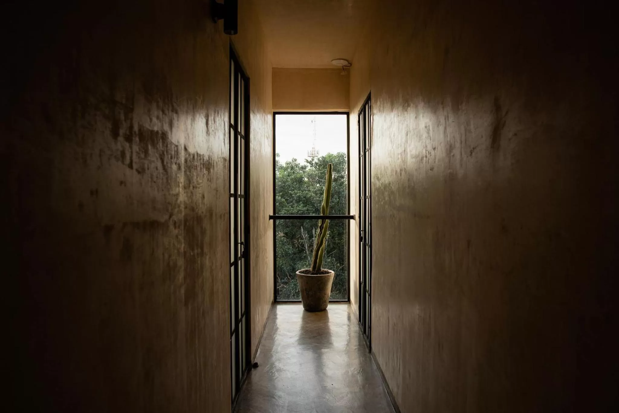 Property building in Botånica Tulum