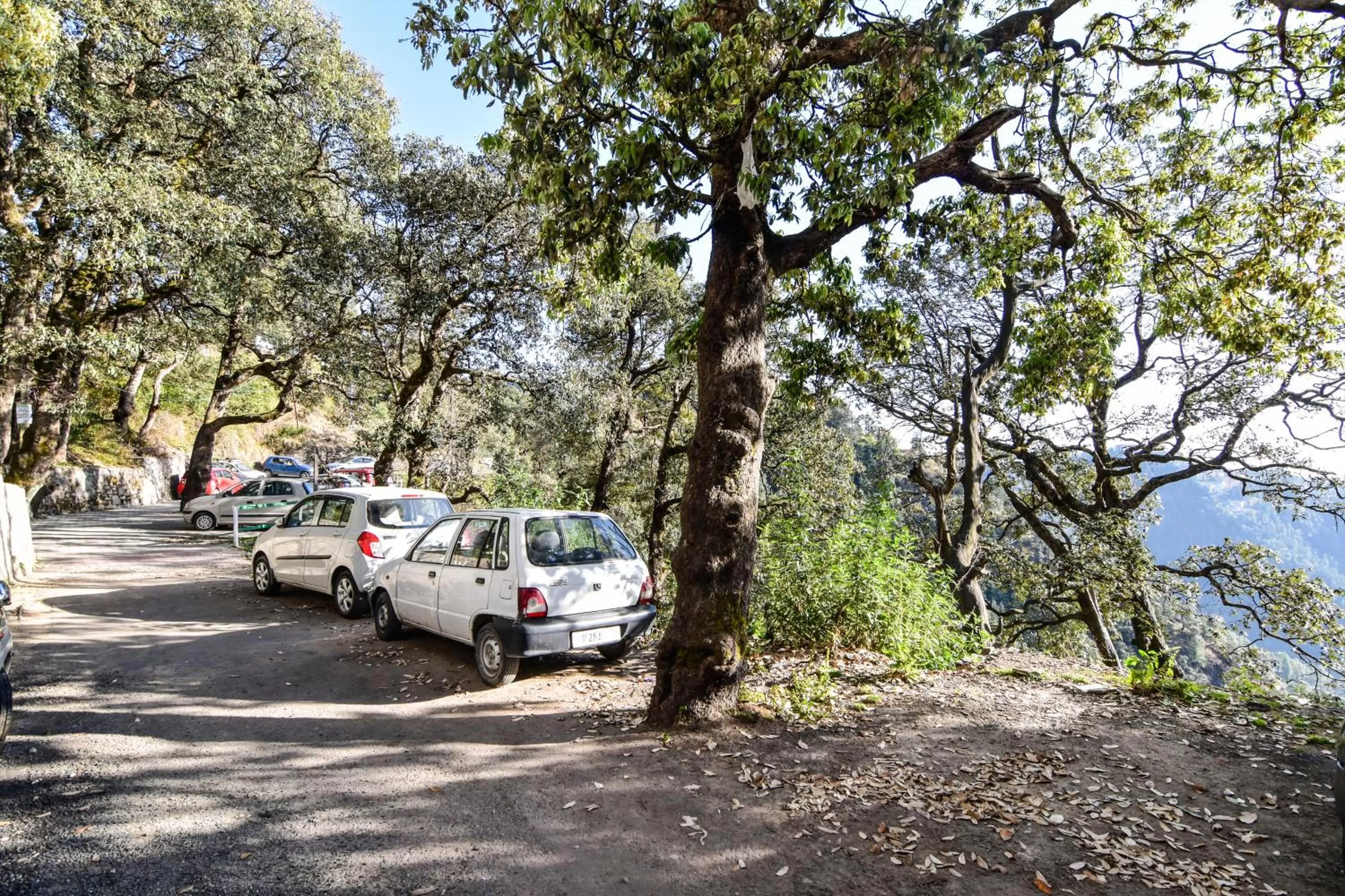 Other in Dhanlaxmi Apartments