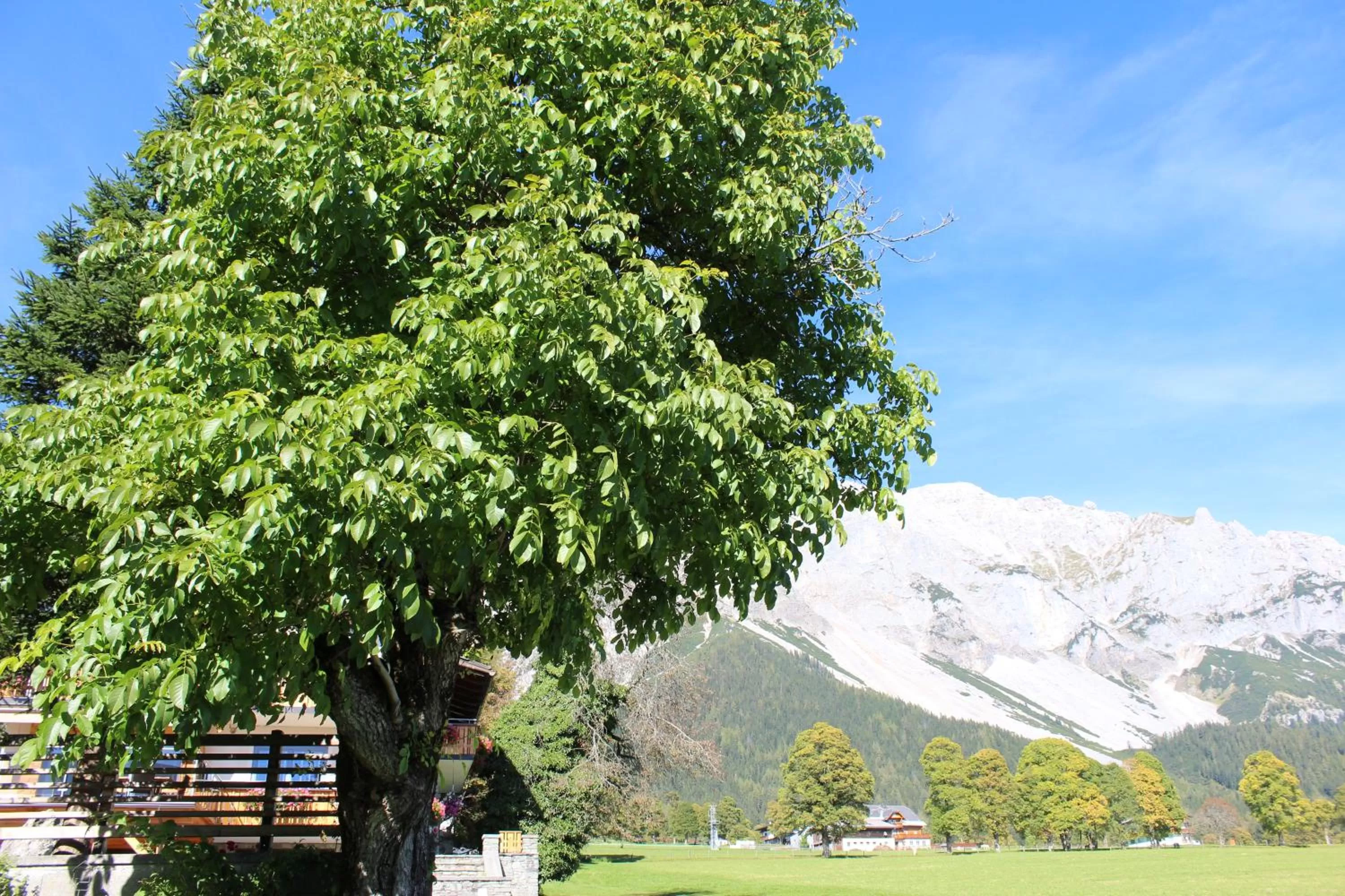 Mountain view in Bergführerhaus