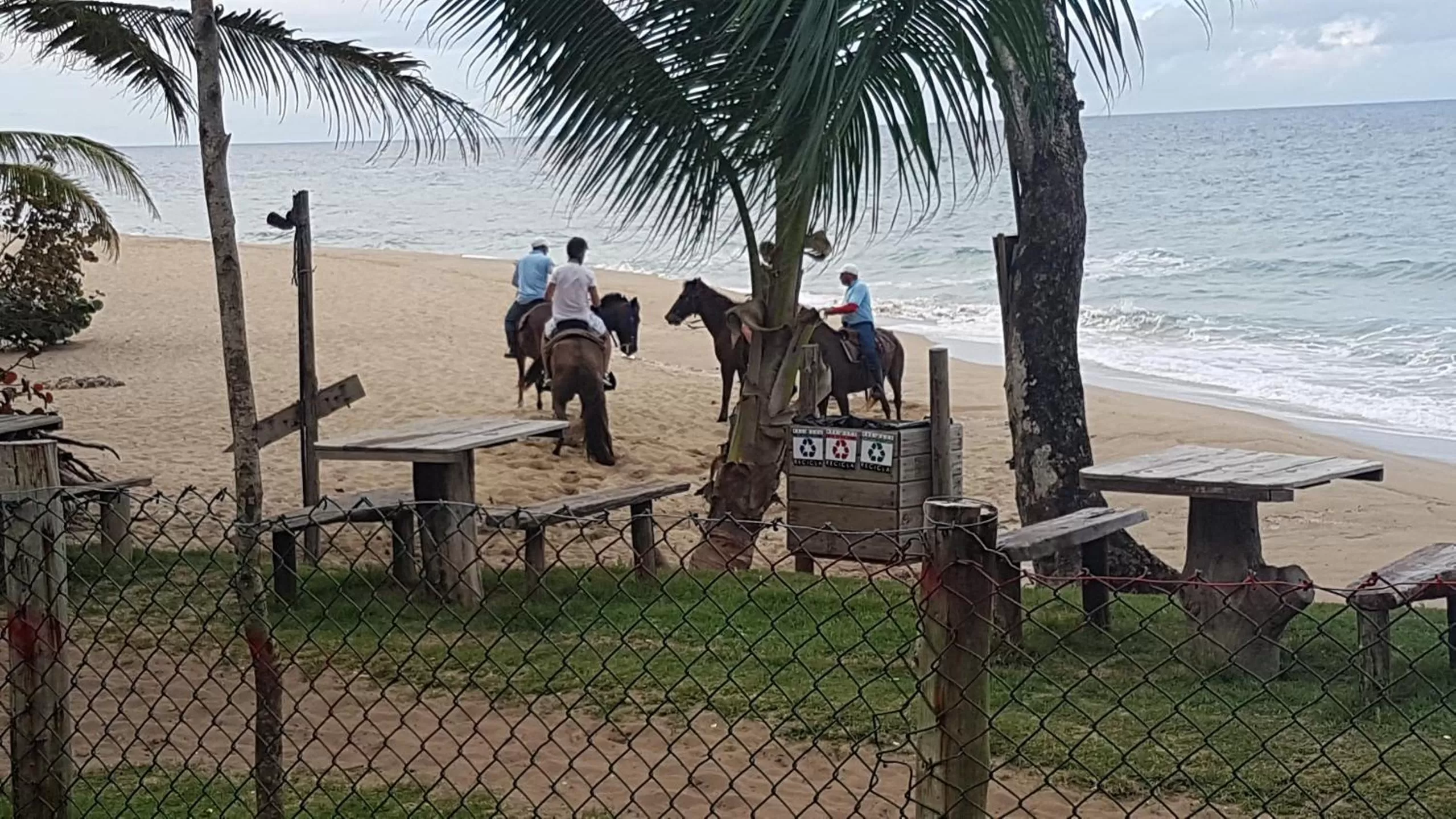 Horse-riding in Cabarete Maravilla Eco Lodge Boutique Beach Surf Encuentro, Kite, by AA Crypto Group