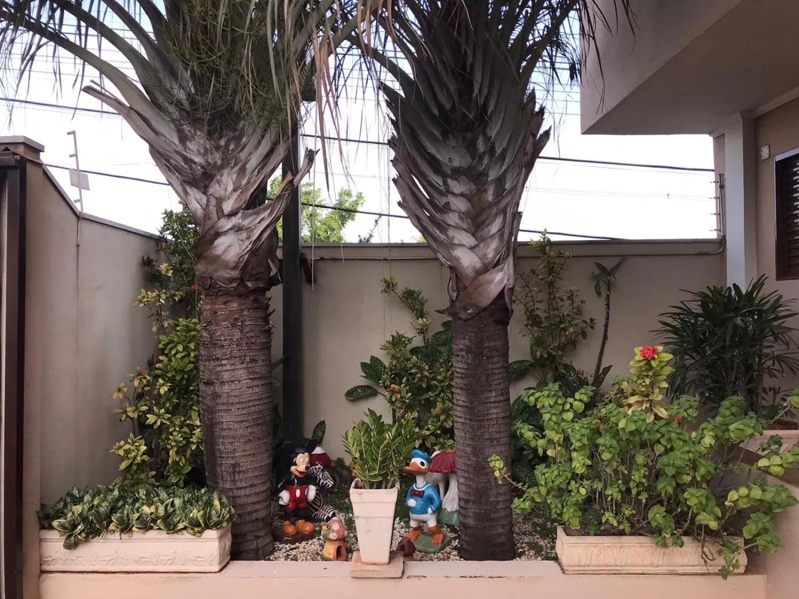 Patio in Hotel Portela III - Aprox 600m do Thermas dos Laranjais e Hot Beach