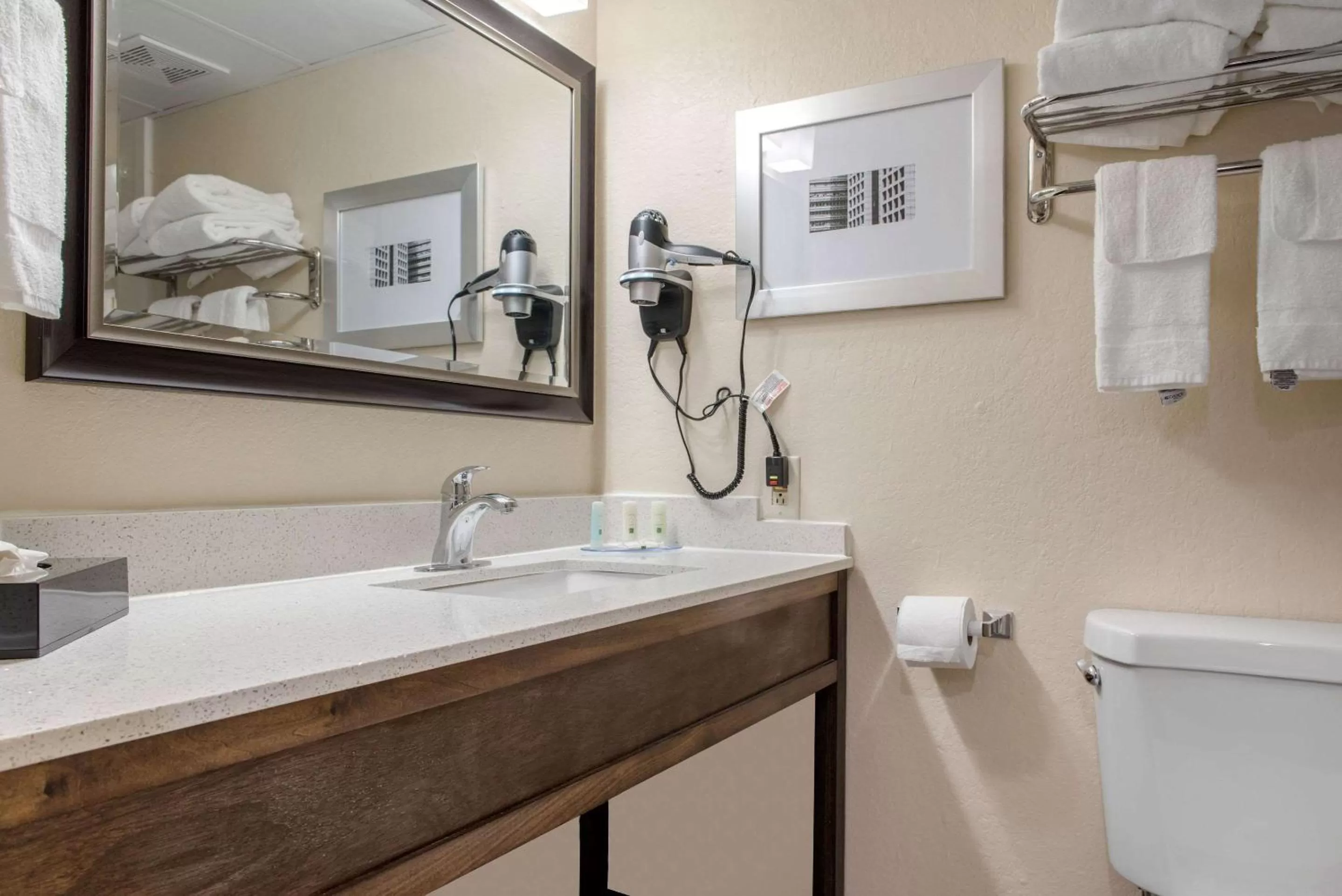 Bathroom in Quality Inn and Conference Center