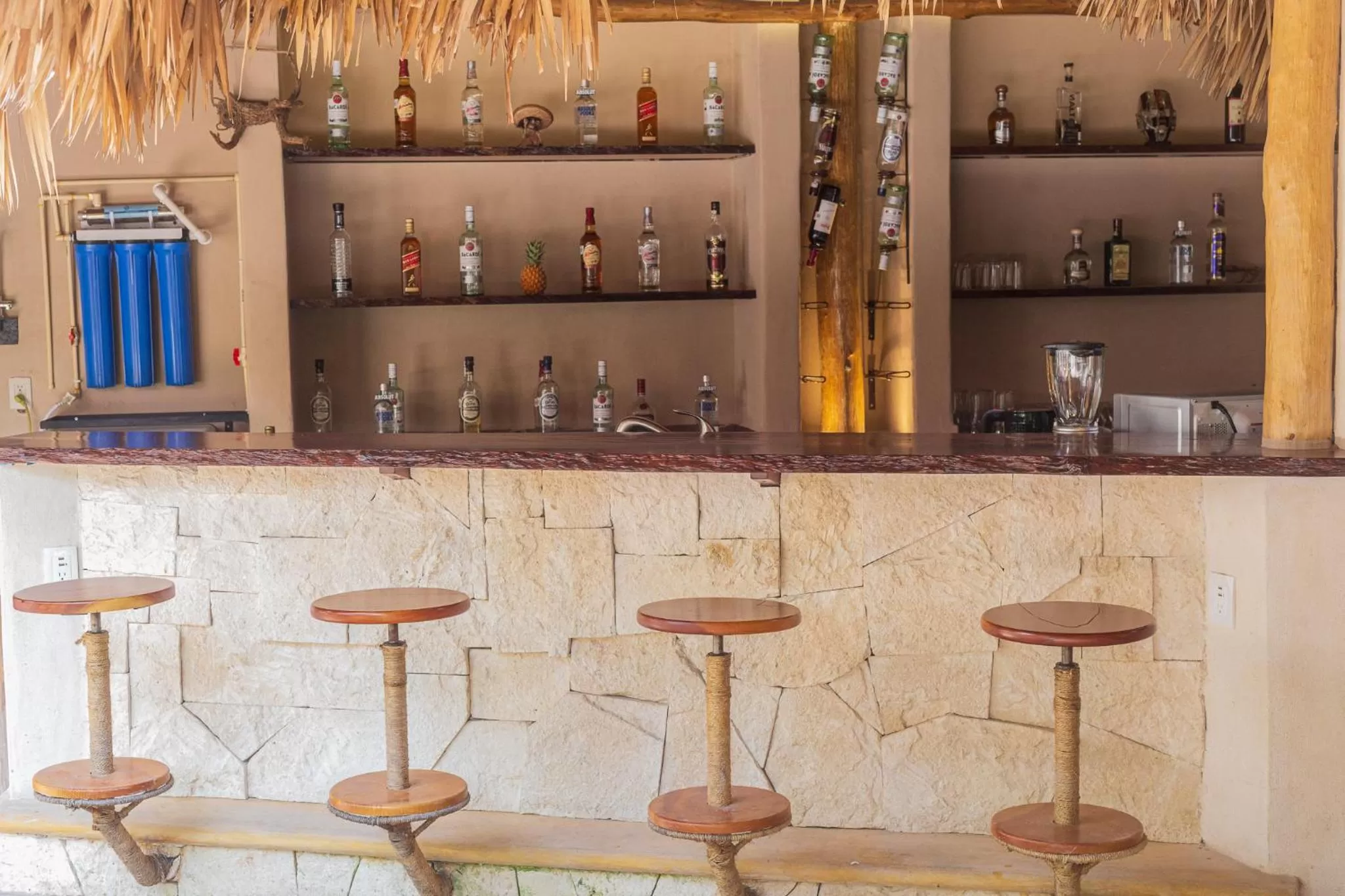 Lounge or bar in Hotel Circulo Bacalar
