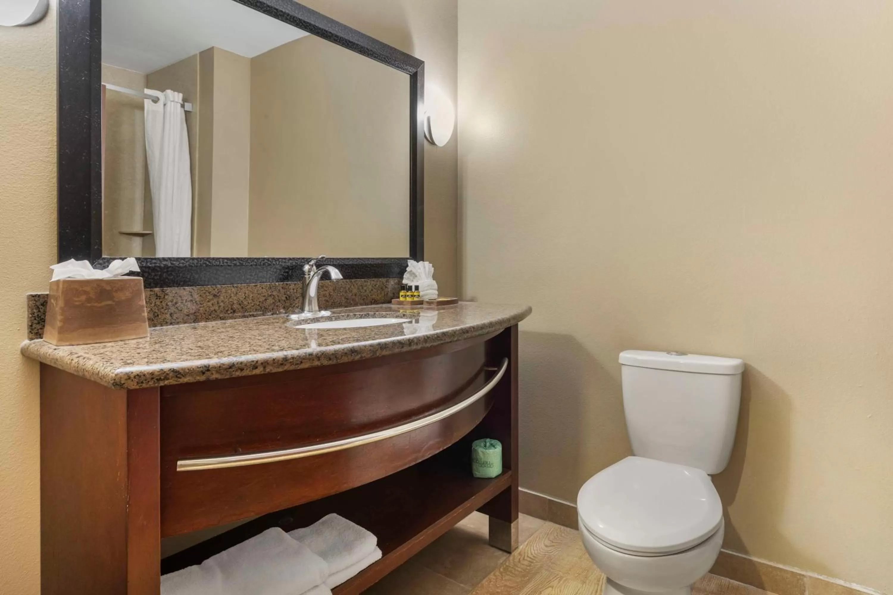 Bathroom in Best Western Plus Texoma Hotel & Suites