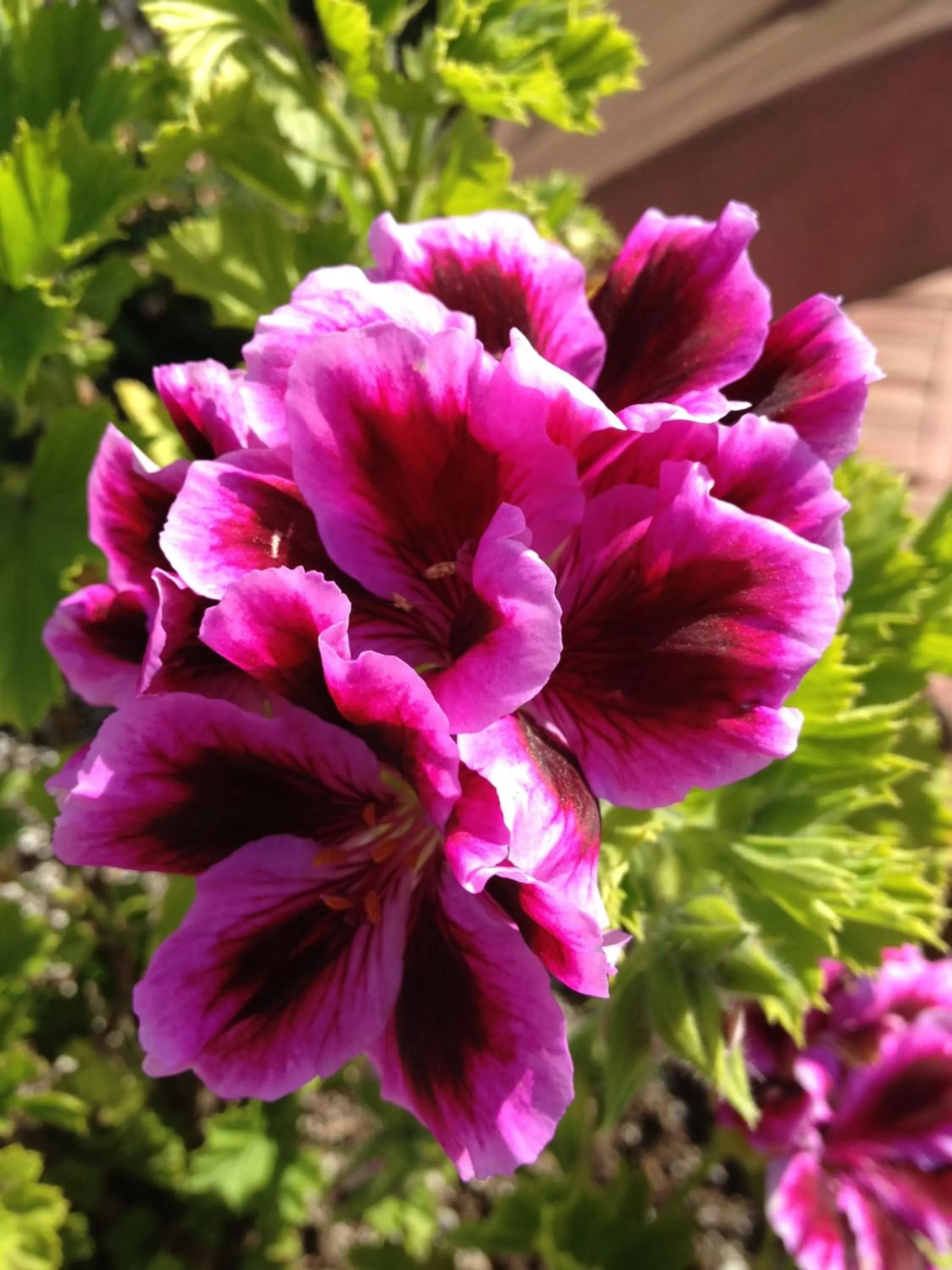 Other in Ocean Echo Inn & Beach Cottages