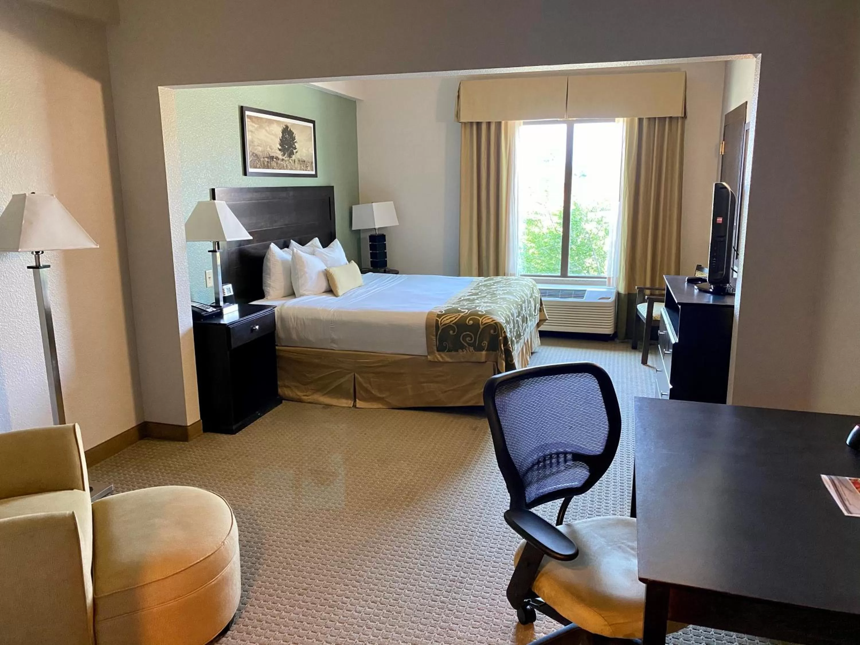 King Room - Non-Smoking in Wingate By Wyndham Frisco