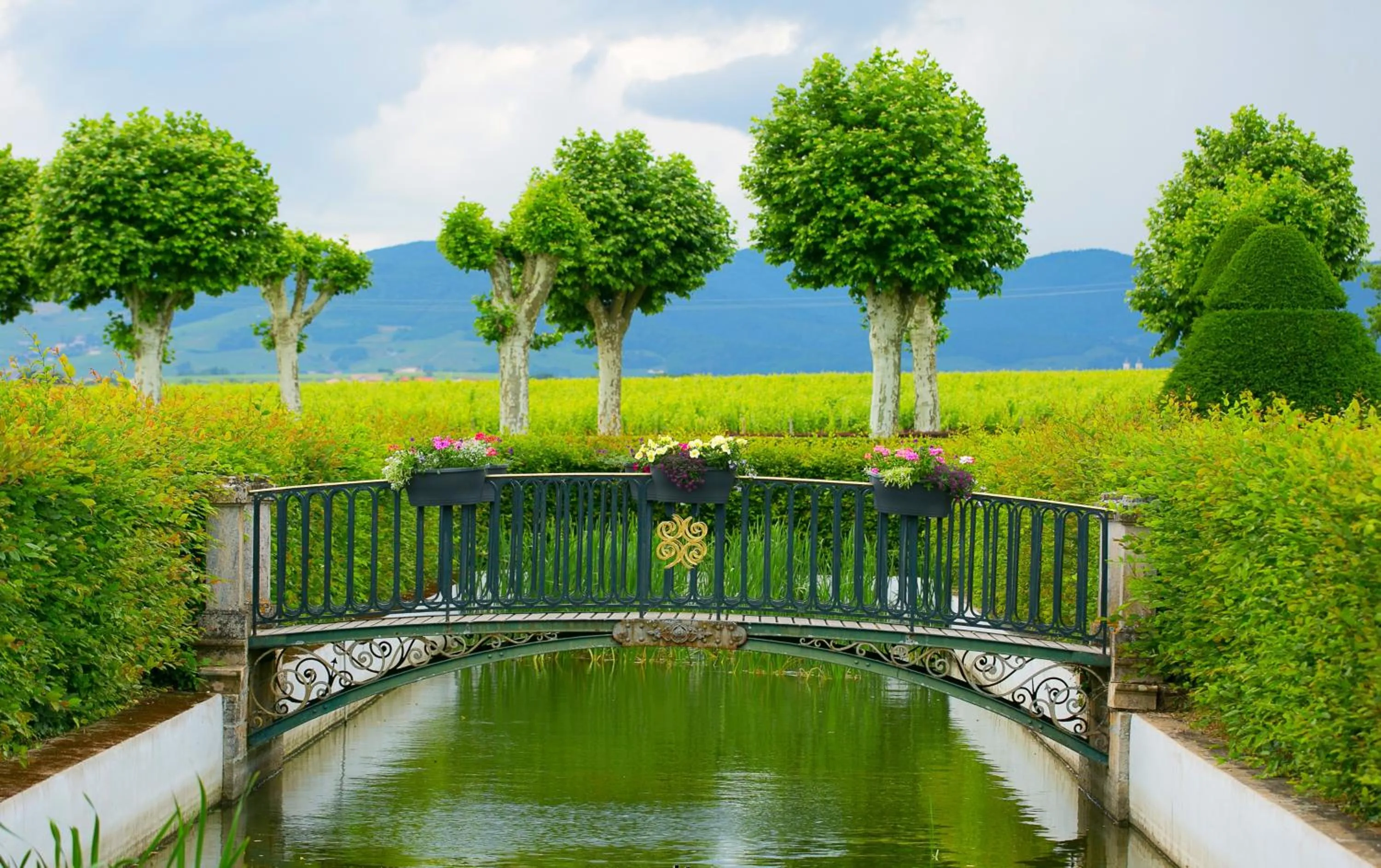 Spring in Château de Pizay