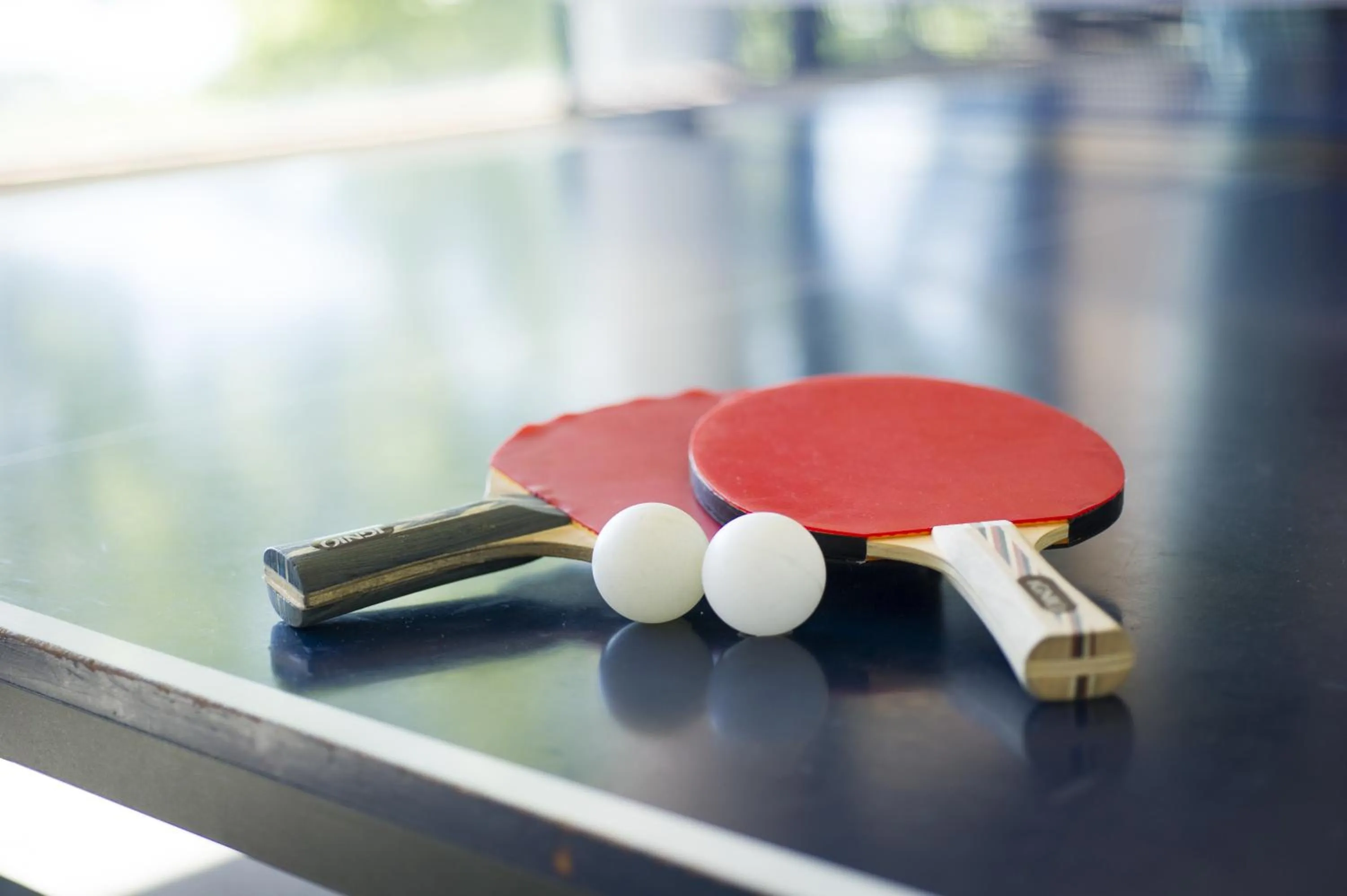 Table tennis in Hotel Village Izukogen