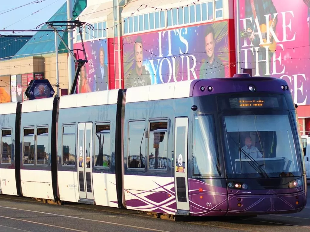 View (from property/room) in Seagull Hotel