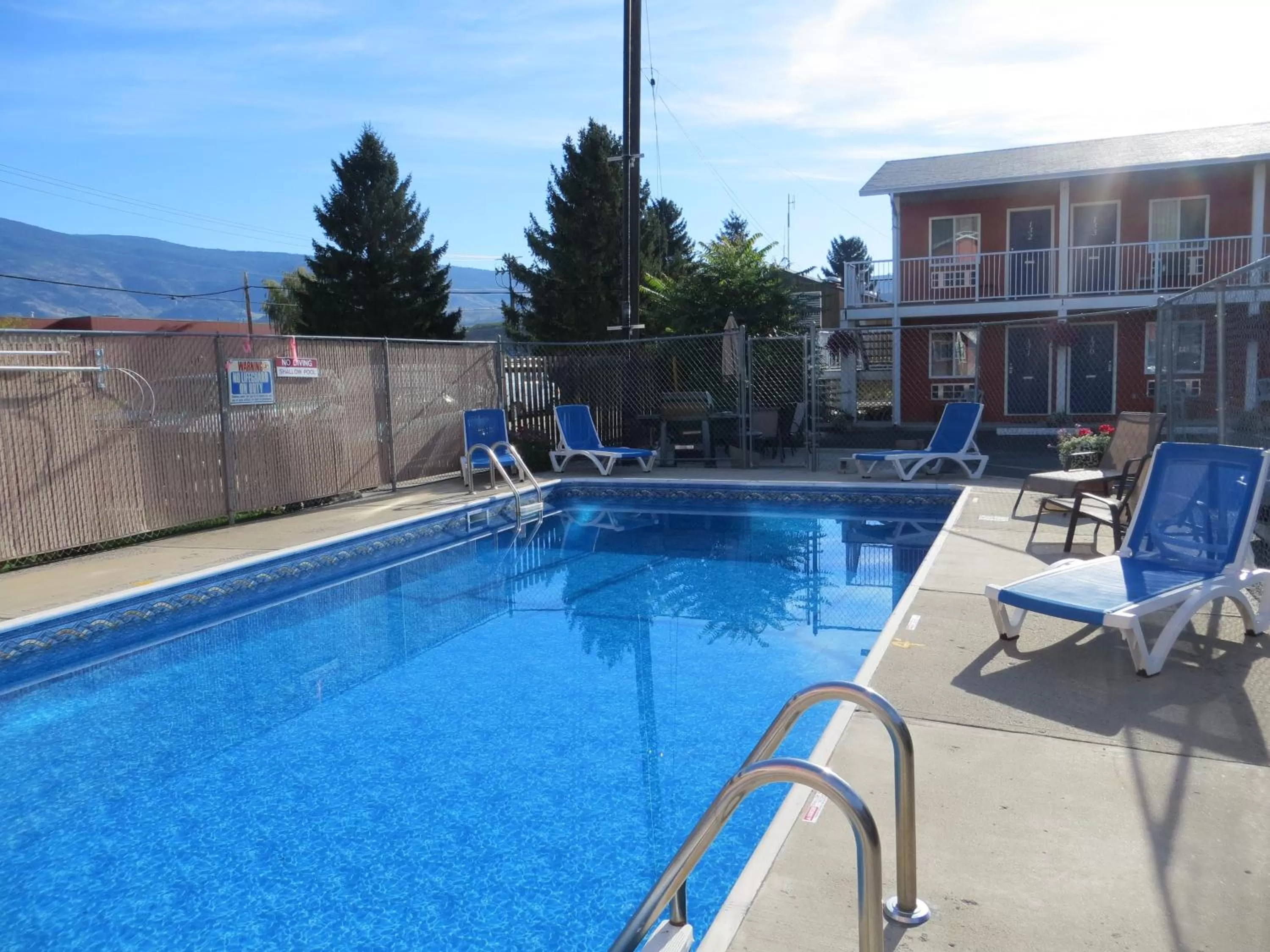 Summer in Cactus Tree Inn