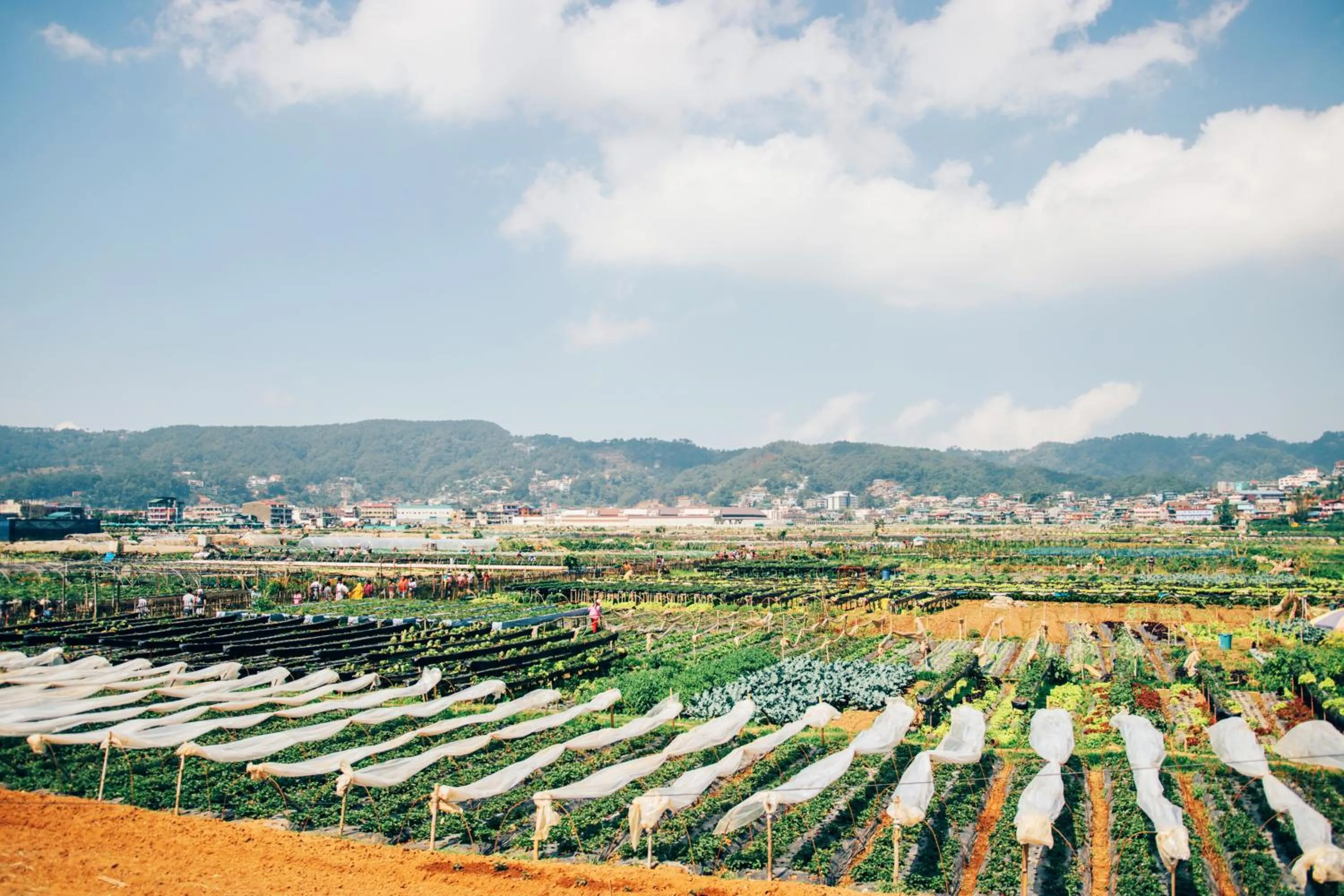 Other in Azalea Residences Baguio