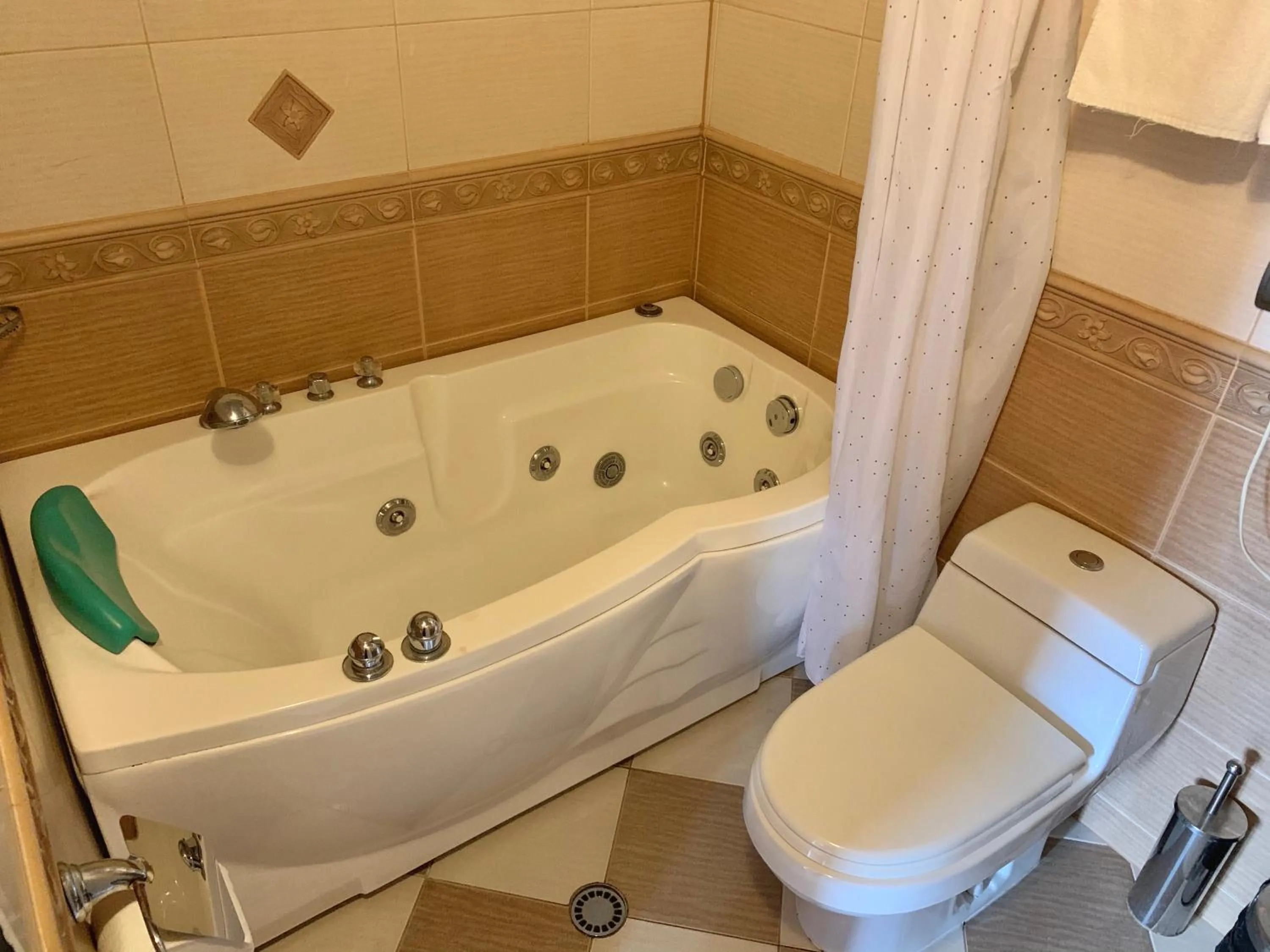 Toilet in California Hotel