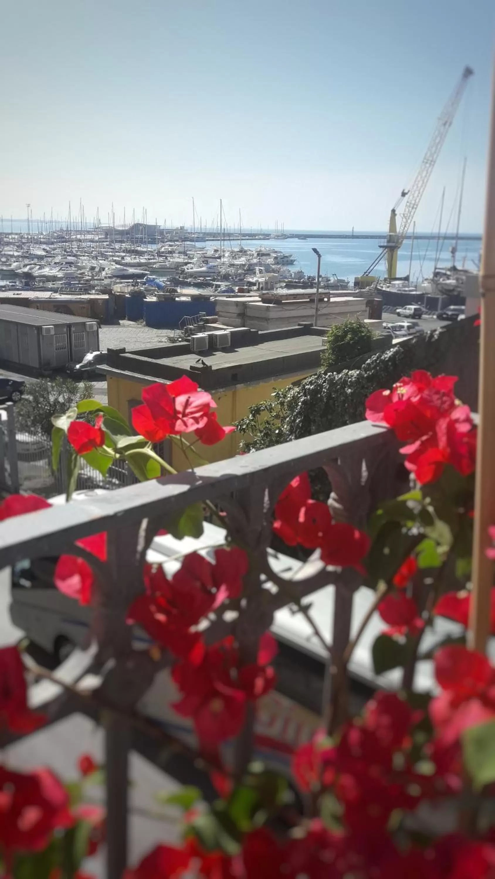 Sea view in B&B VelAmare