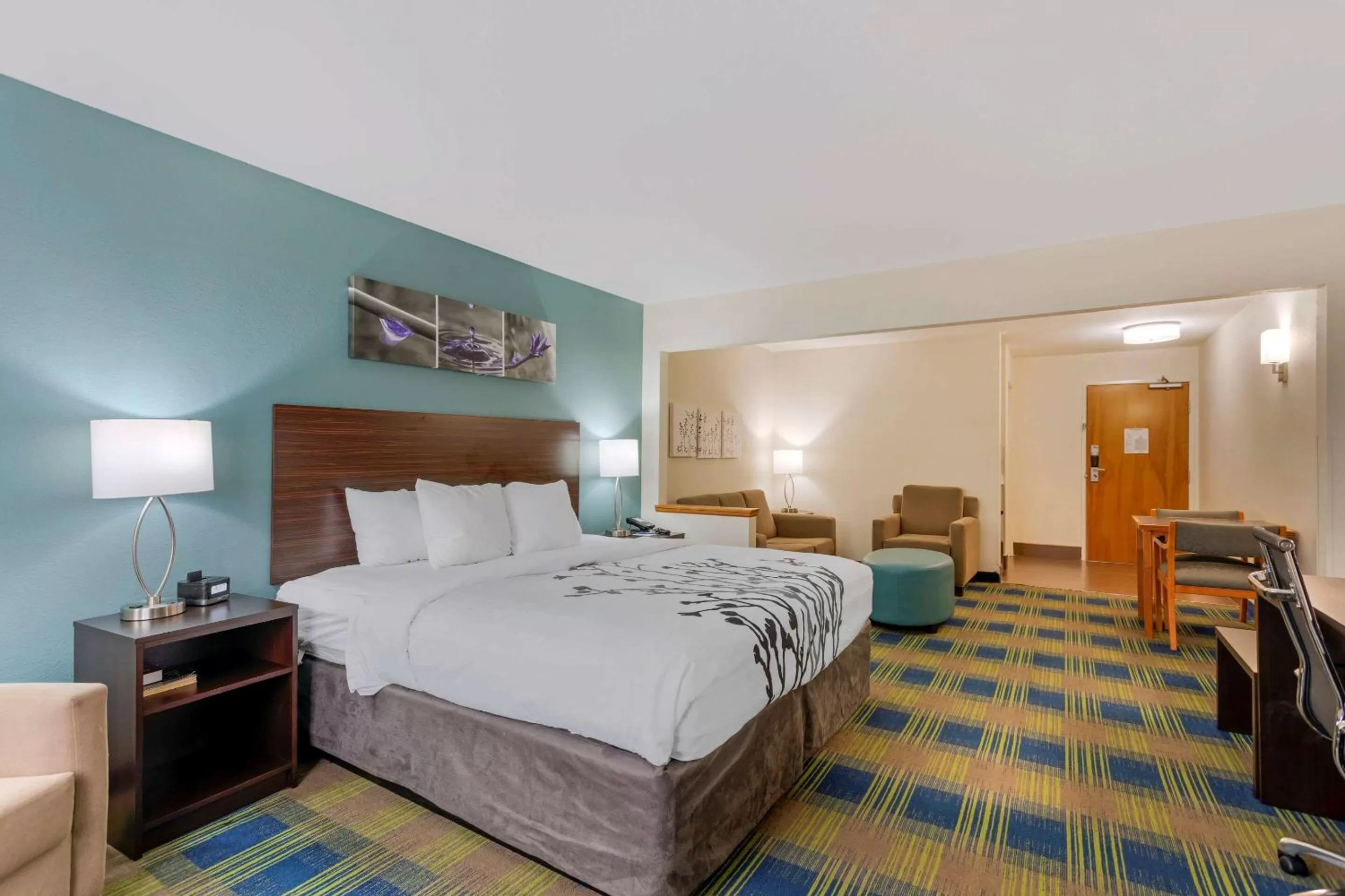King Suite - Accessible/Non-Smoking in Sleep Inn & Suites Smyrna – Nashville