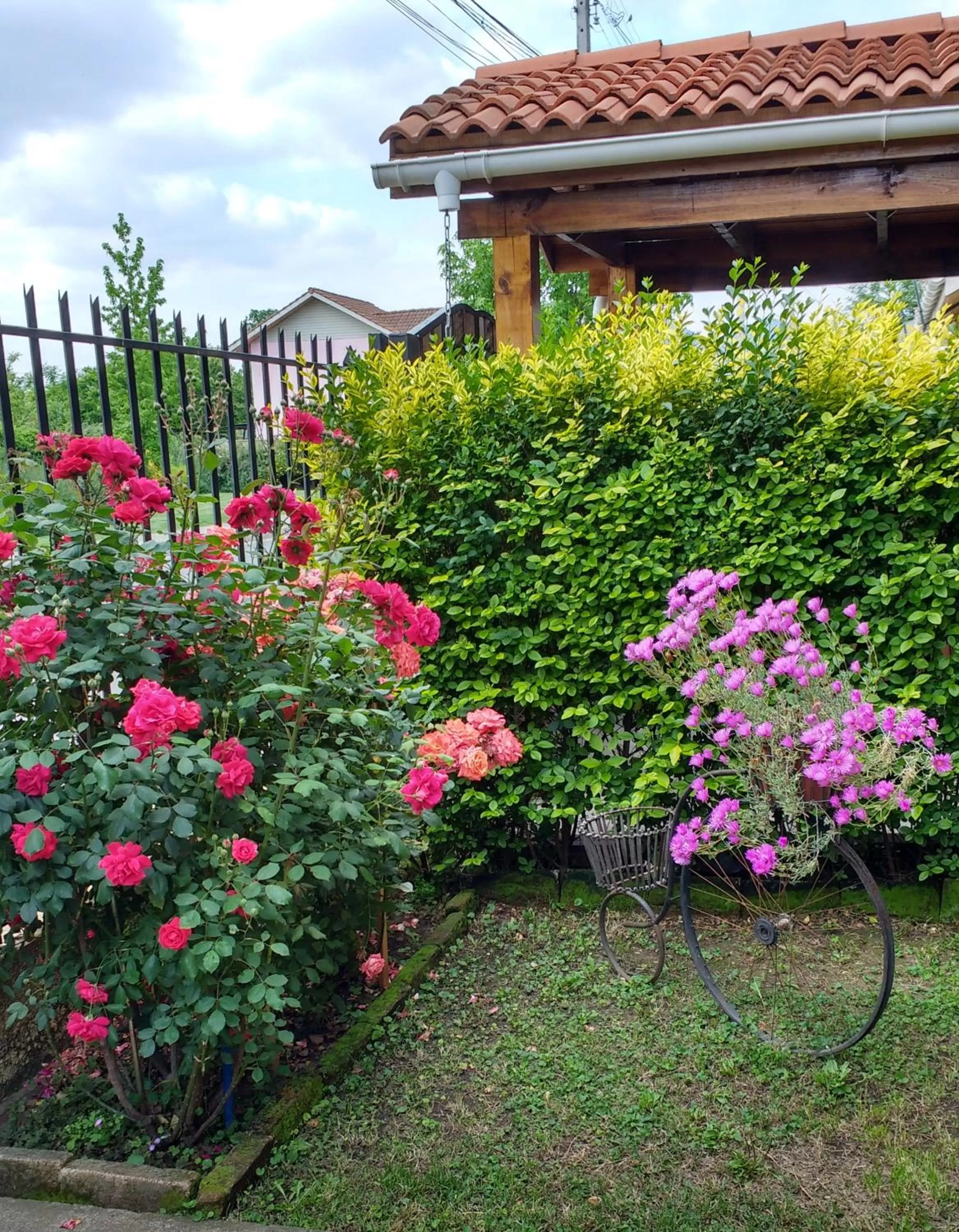 Garden in Casa Roble Añejo Bed & Breakfast