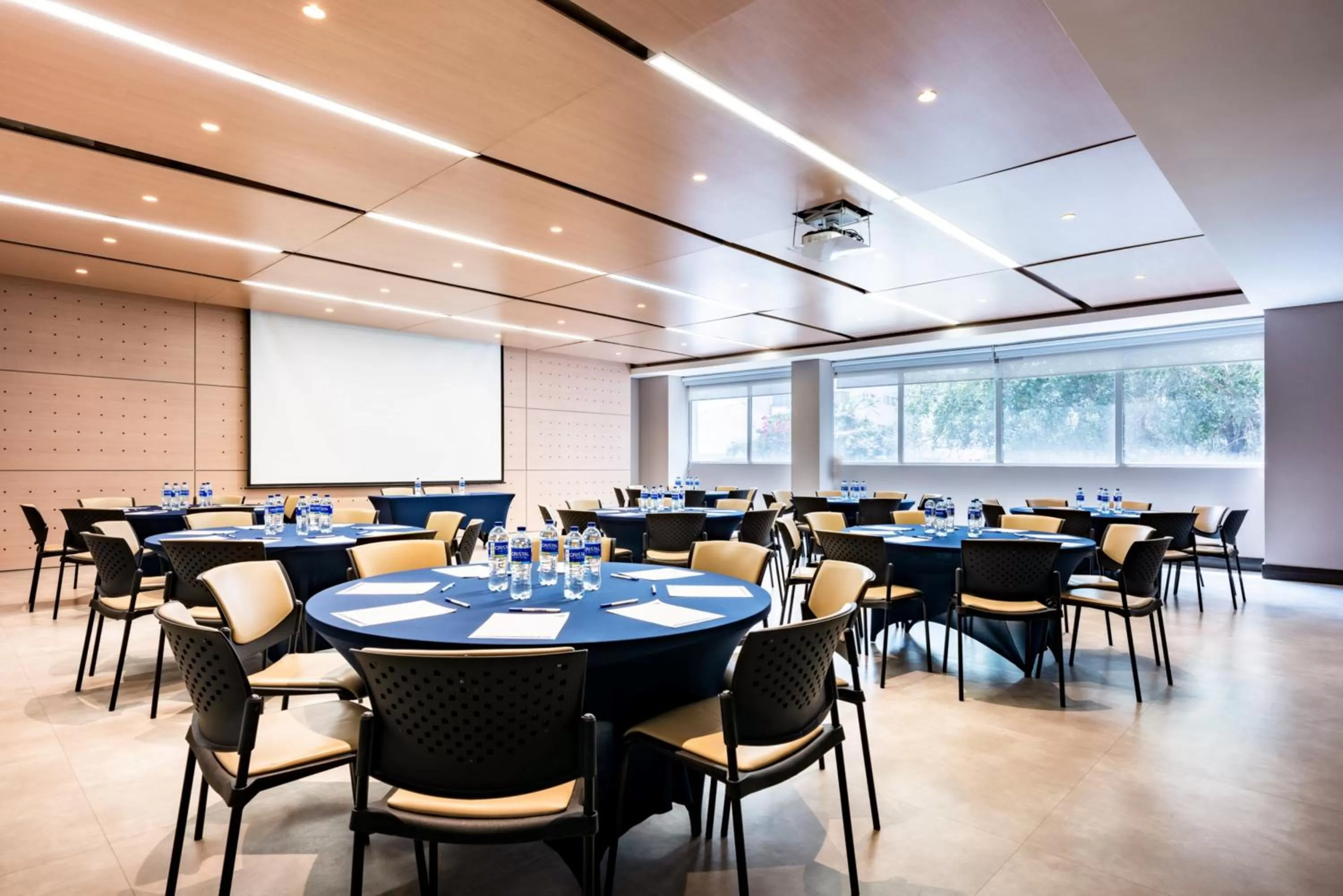 Meeting/conference room in Holiday Inn Express - Cartagena Bocagrande by IHG
