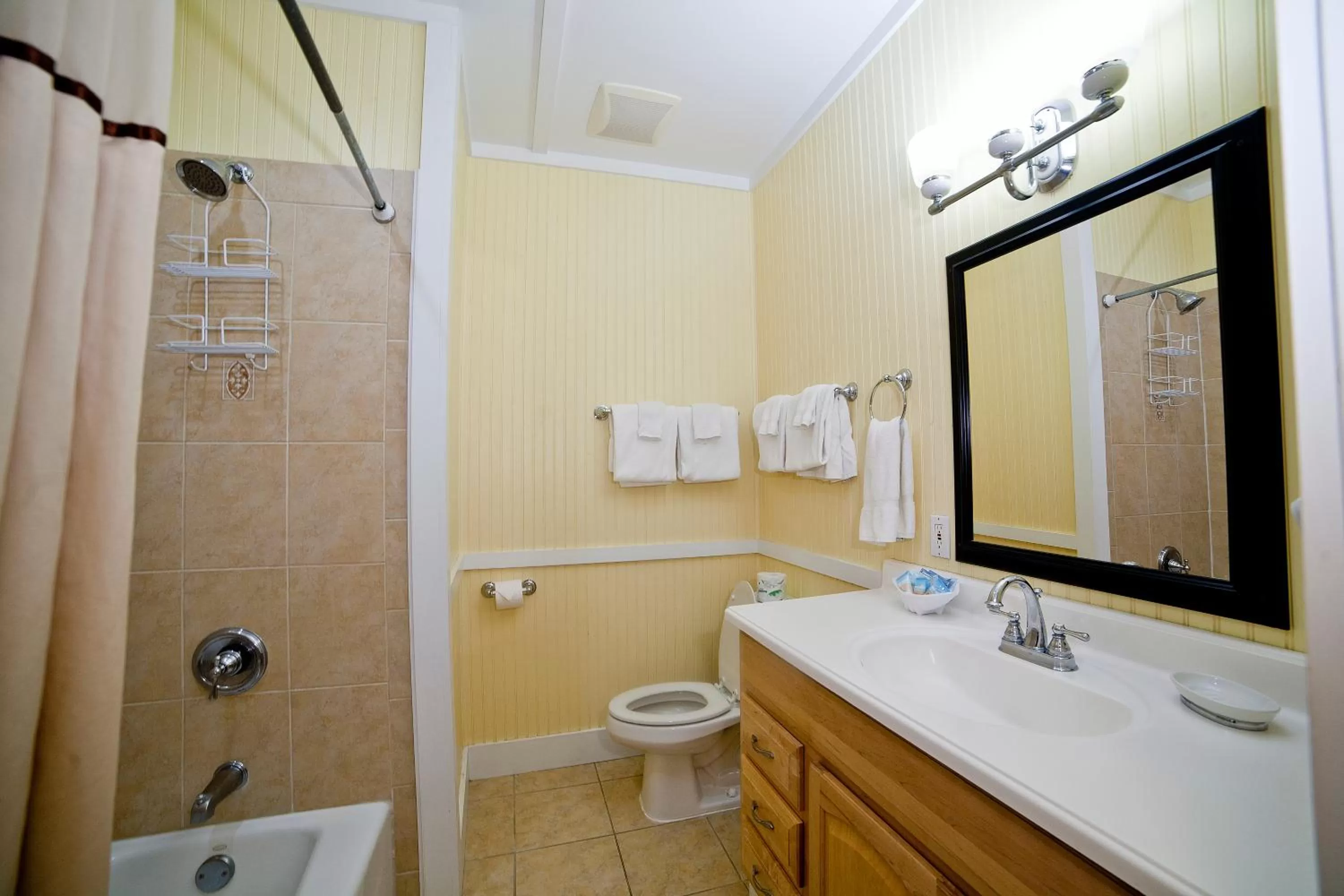 Bathroom in Georgianne Inn & Suites check in 212 Bulter Ave