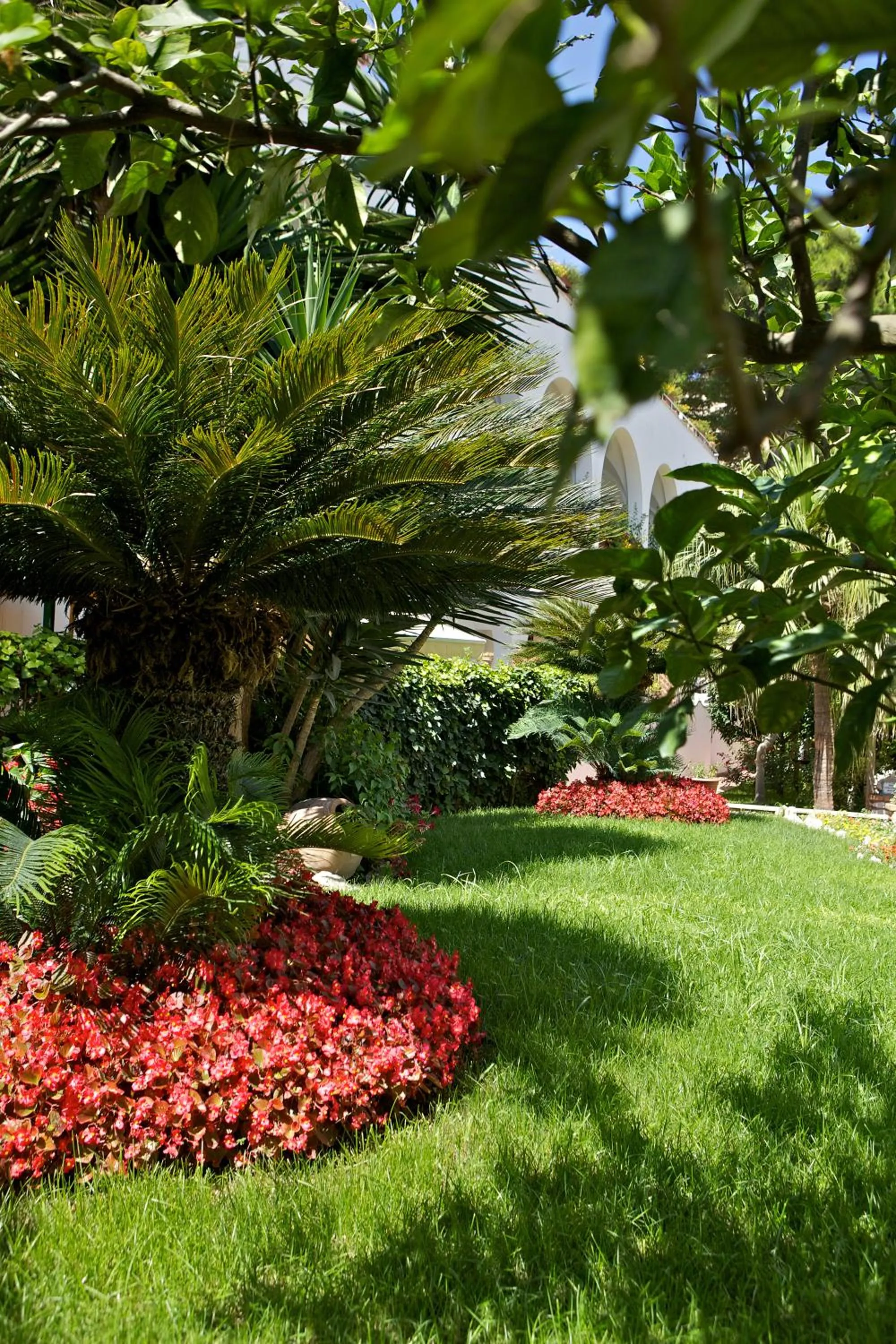 Garden in Hotel San Felice