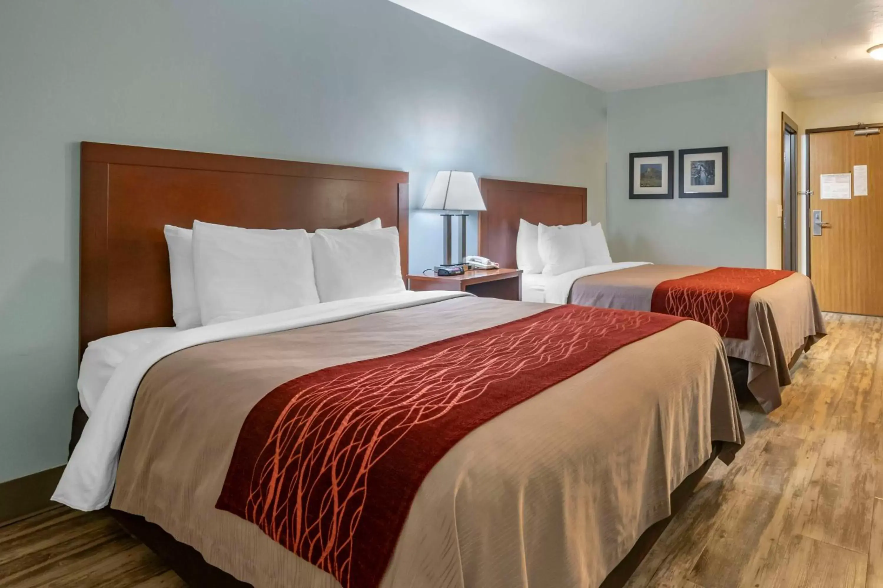 Queen Room with Two Queen Beds - Pet-Friendly/Non-Smoking in SureStay Plus Hotel by Best Western Buffalo Queen Room with Two Queen Beds - Pet-Friendly/Non-Smoking in SureStay Plus Hotel by Best Western Buffalo