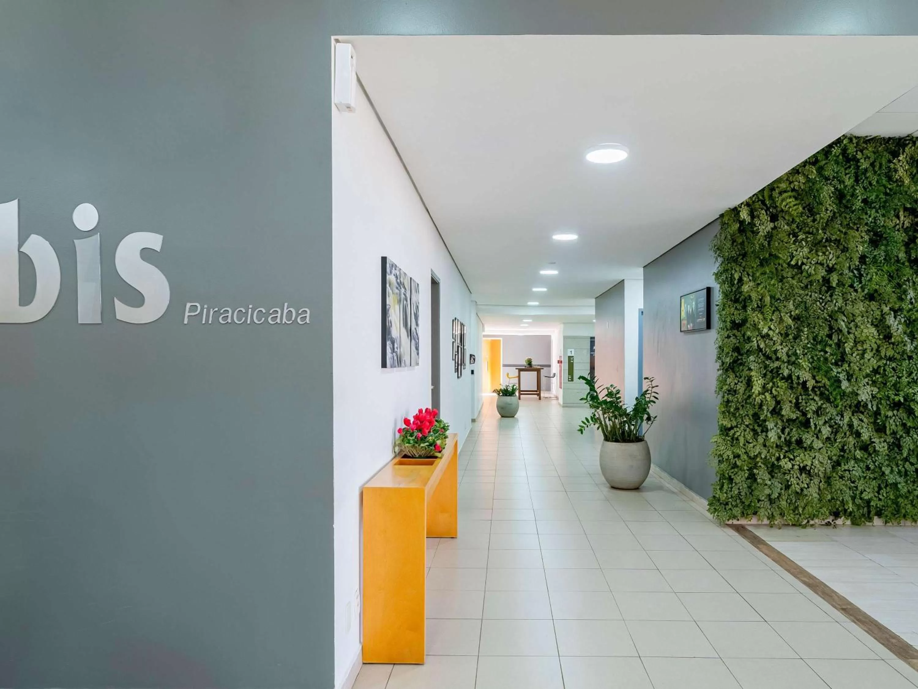 ibis Piracicaba