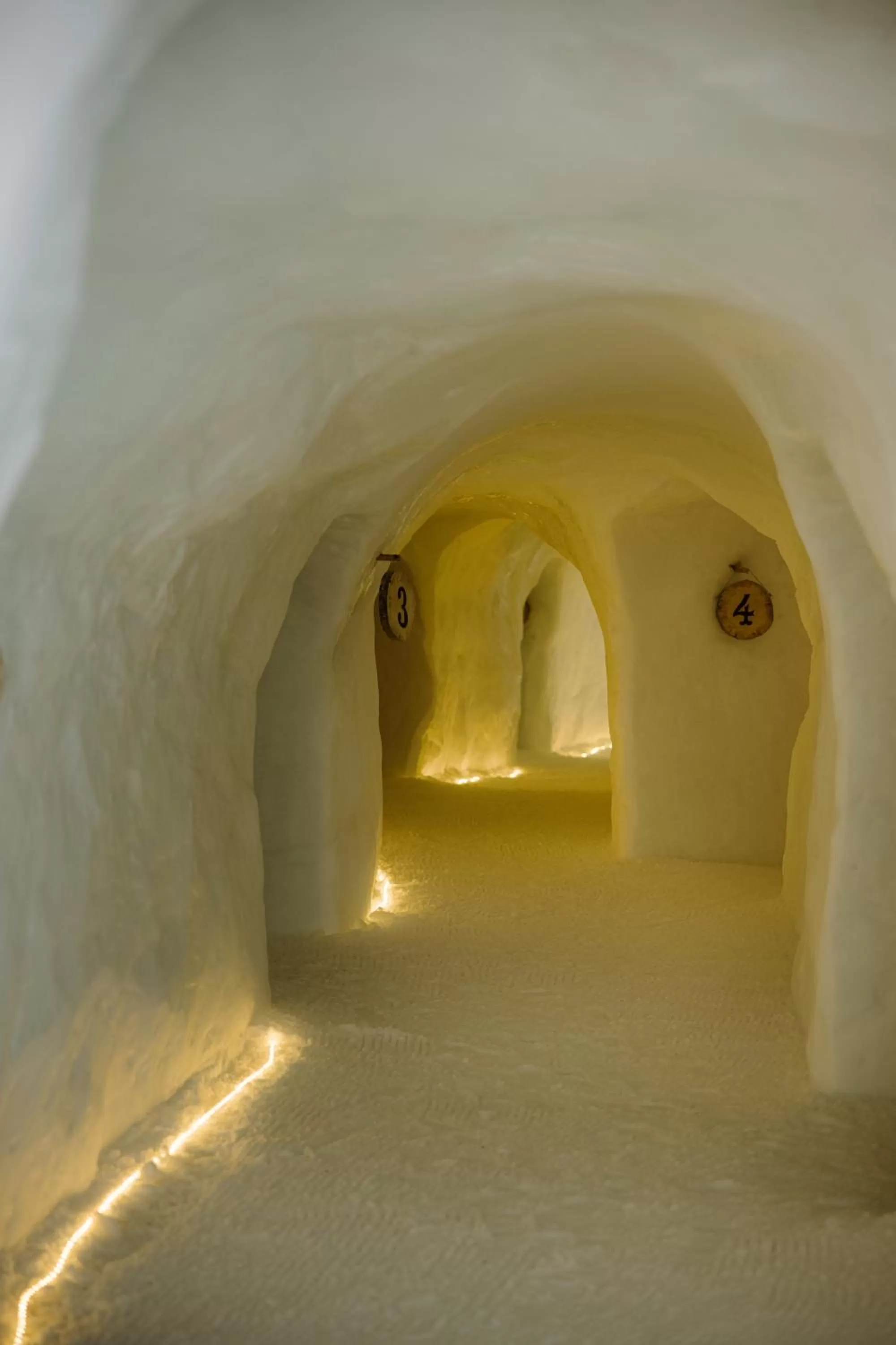 Property building in Berghotel Engstligenalp Adelboden