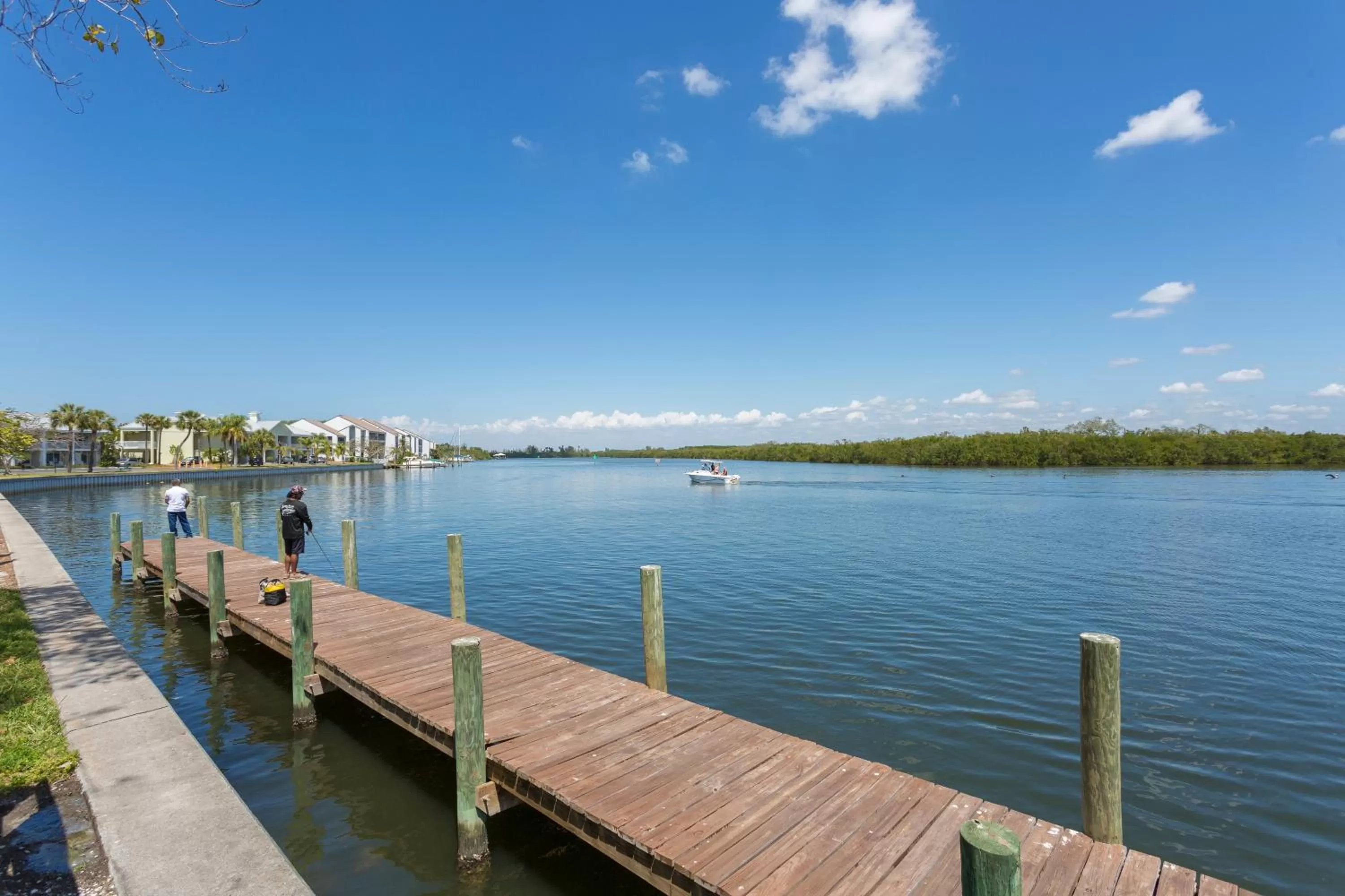 Property building in TAMPA BAY, BEACH step away, WIFI, FREE PARKING,POOLS, JACUZZI