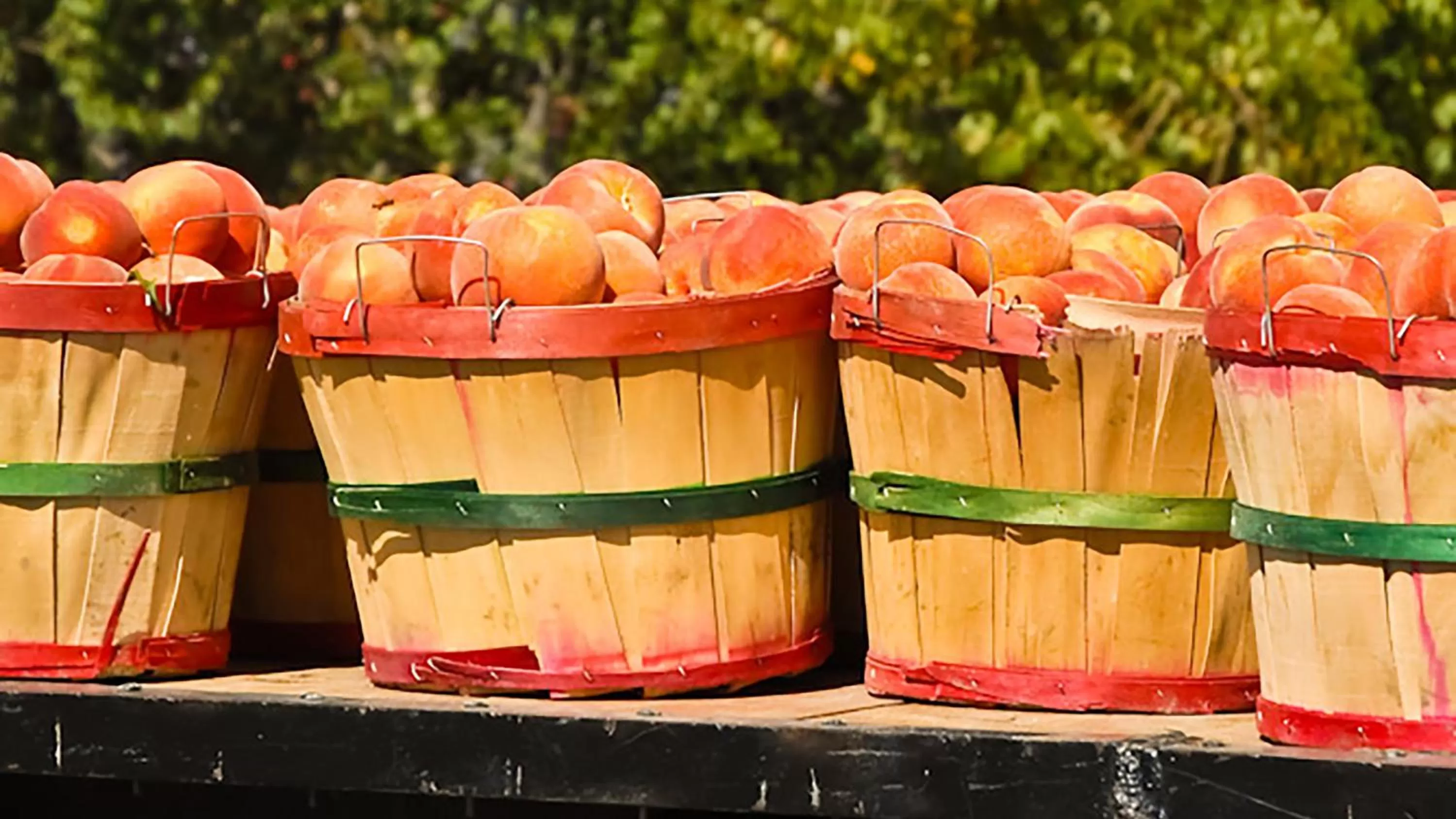 Nearby landmark in Holiday Inn Express & Suites - Brigham City - North Utah by IHG