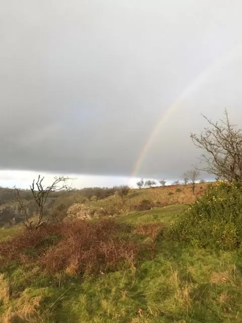 Natural Landscape in The Old Police House