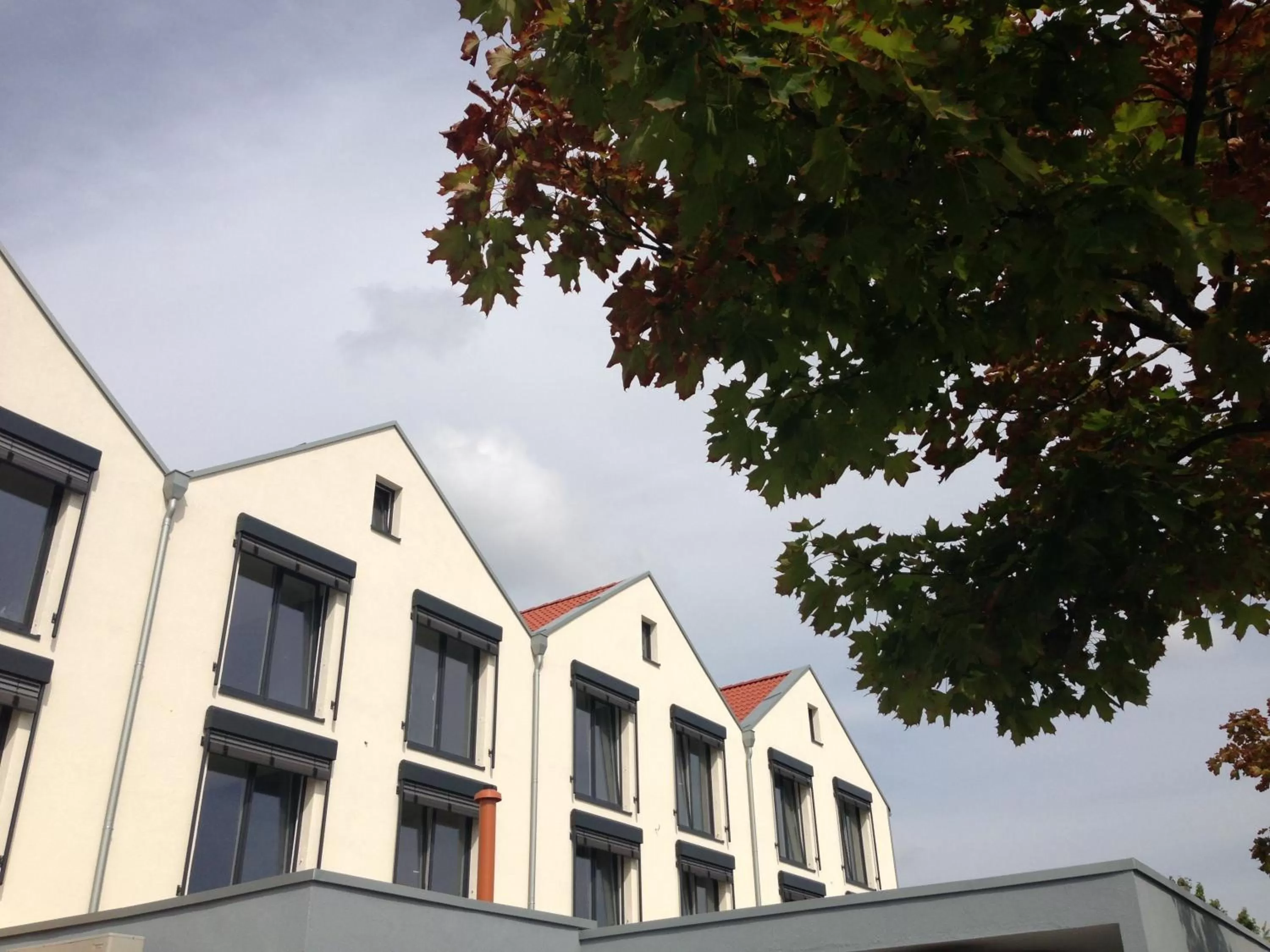 Property building in Hotel Am Markt