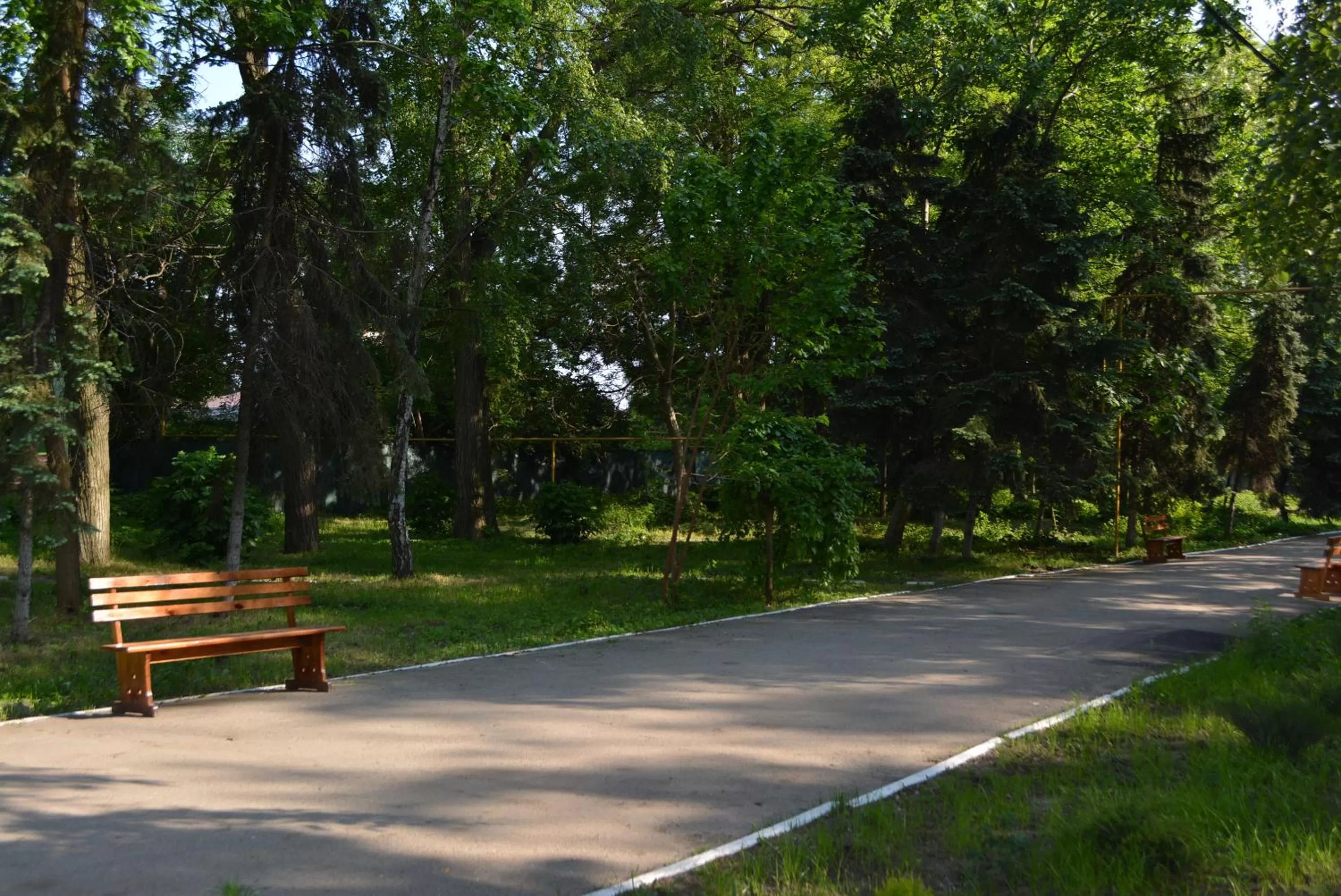 View (from property/room) in Zelenyi Kampus