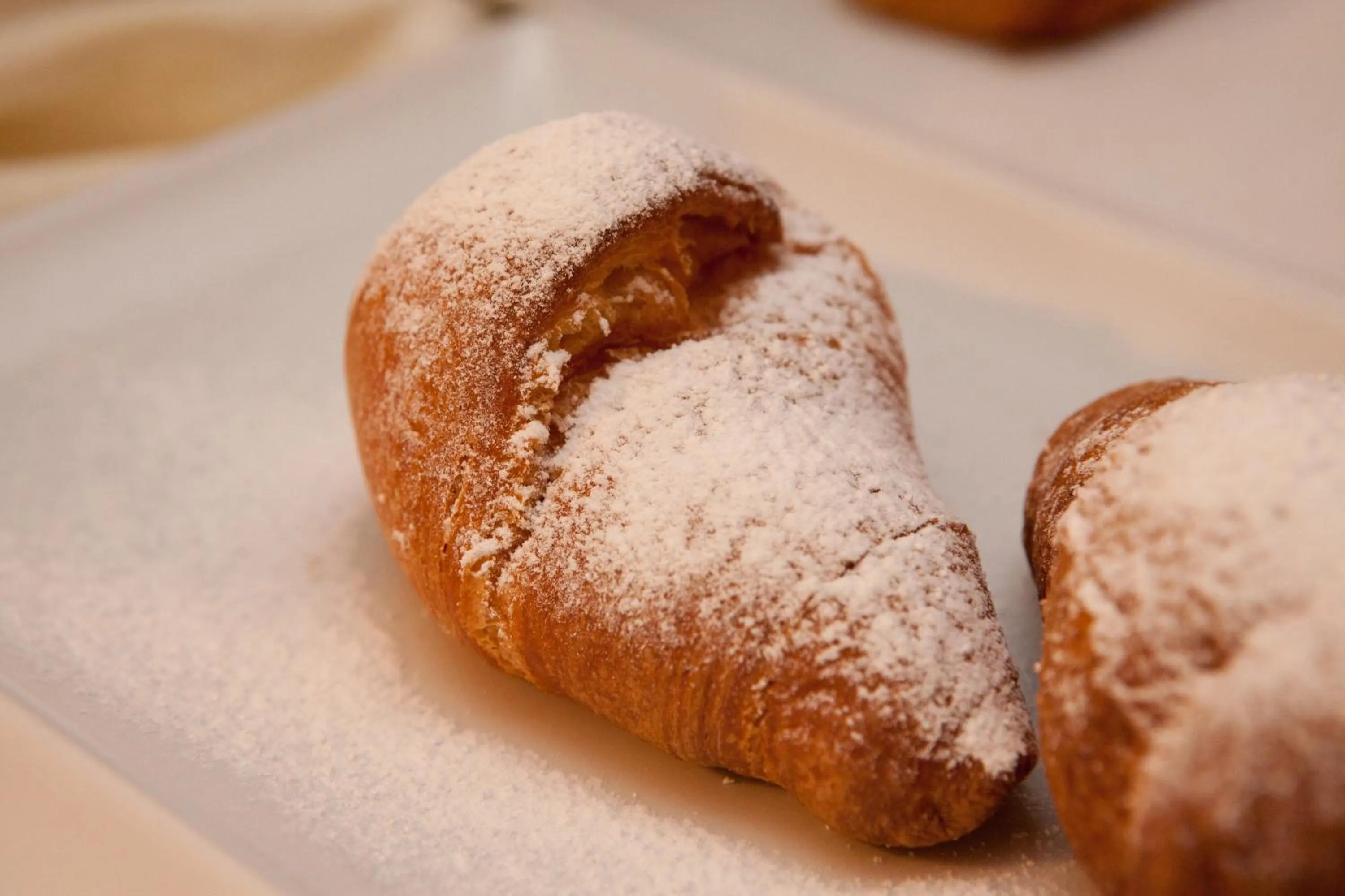 Decorative detail in Hotel Mini Palace - Country House