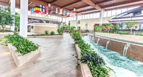 Activities in Wyndham Garden Detroit Metro Airport