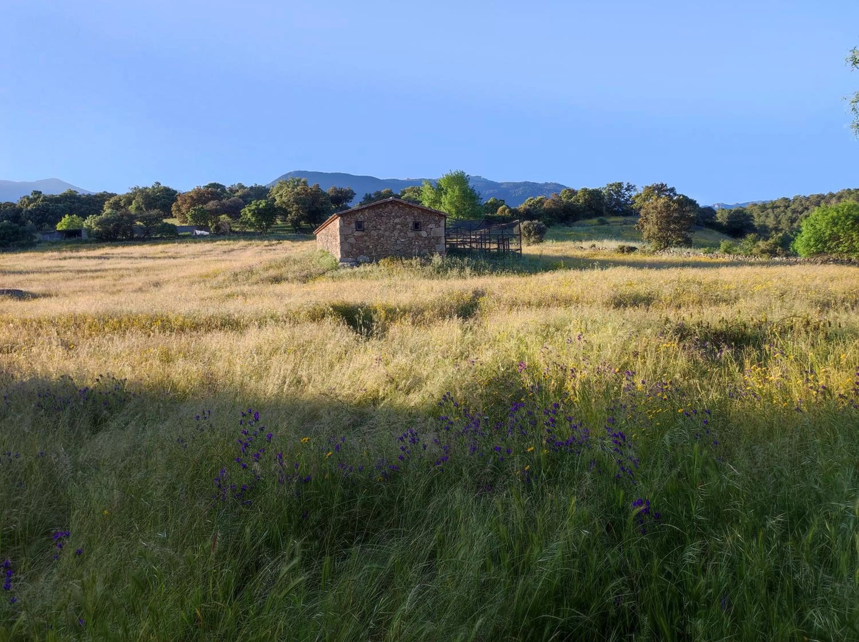 Hotel Rural Finca Liceo