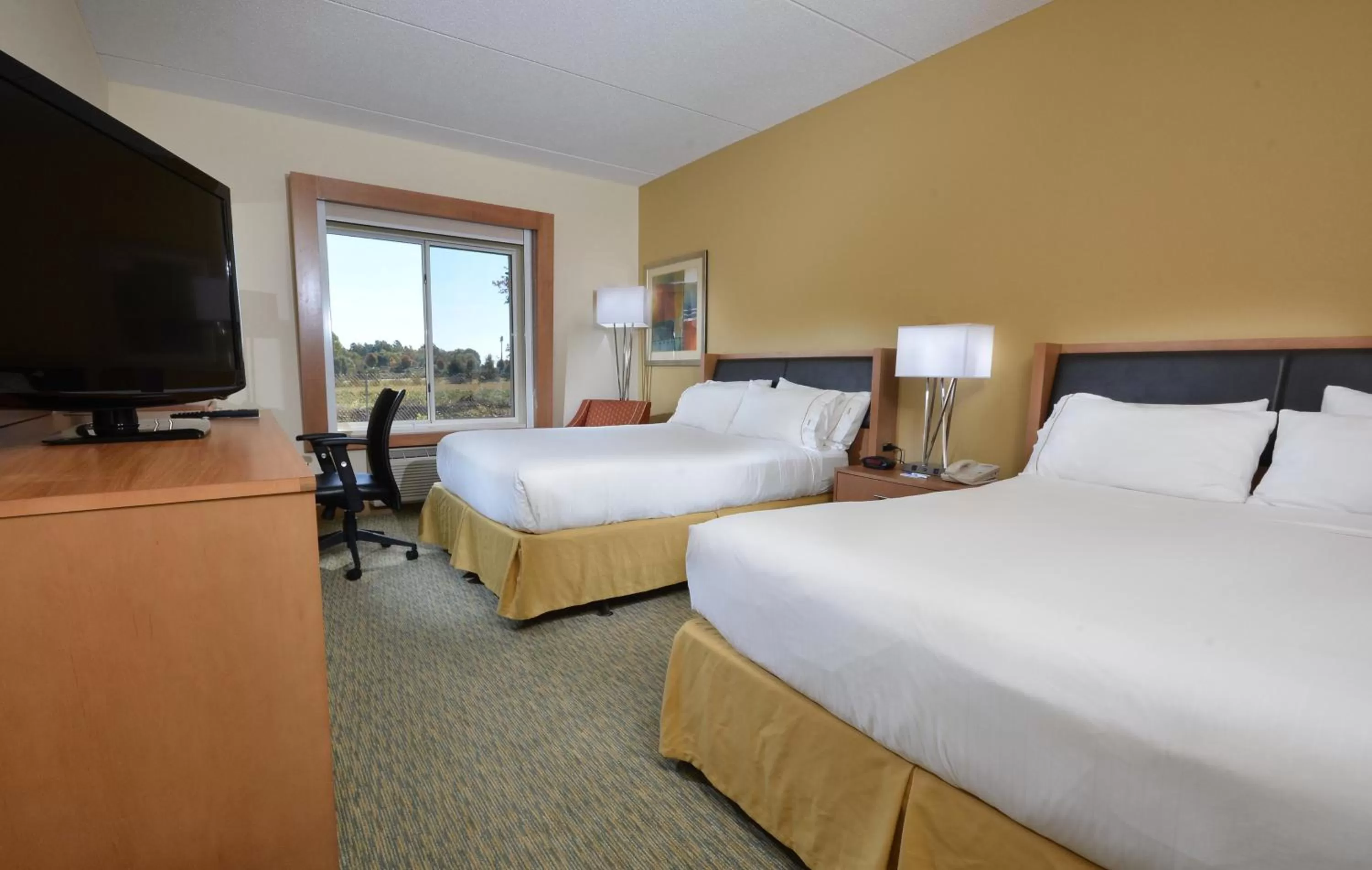 Deluxe Twin Room - Hearing Accessible in Holiday Inn Express Hotel & Suites High Point South, an IHG Hotel