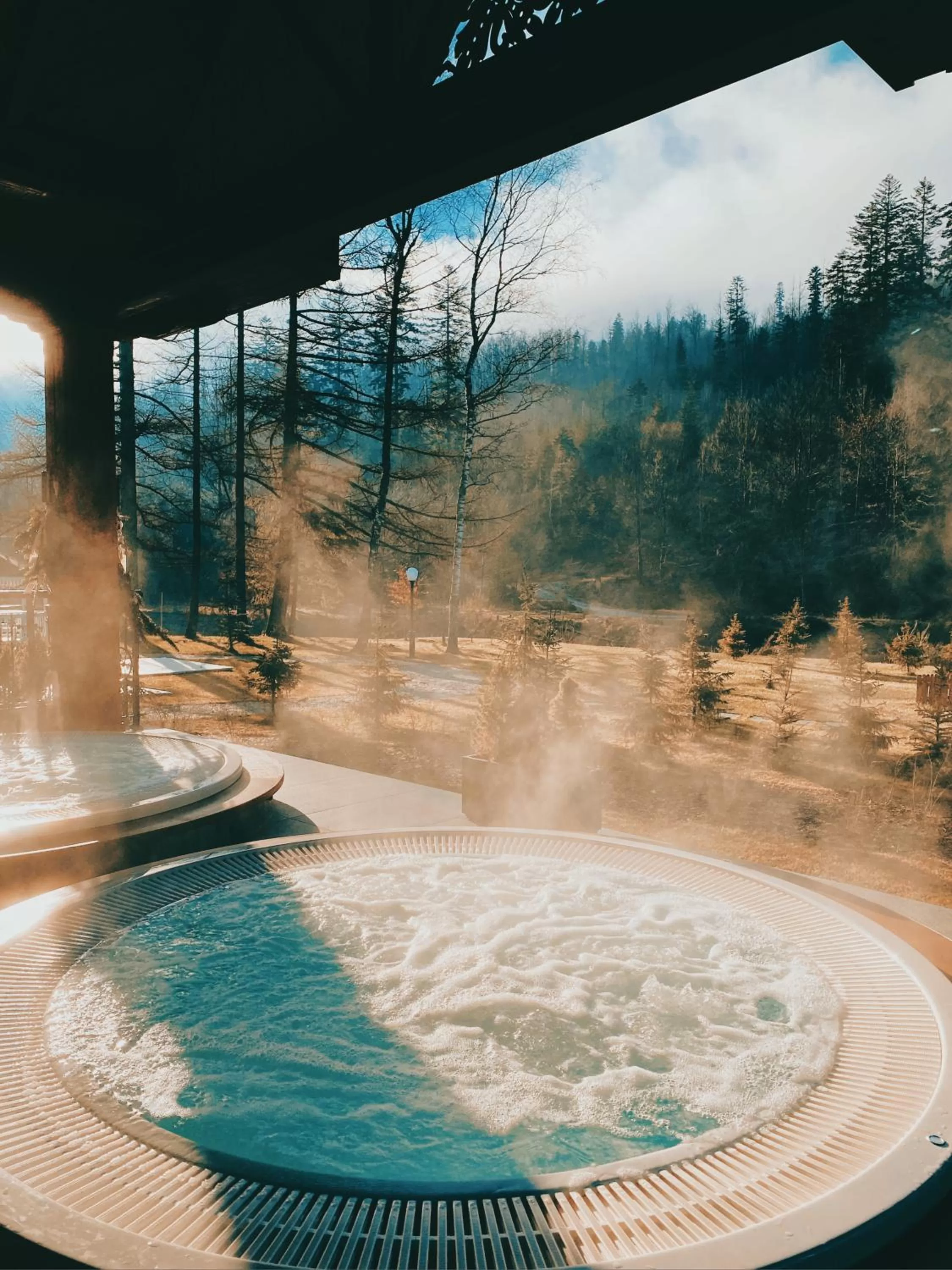 Natural landscape in Aries Hotel & SPA Wisła