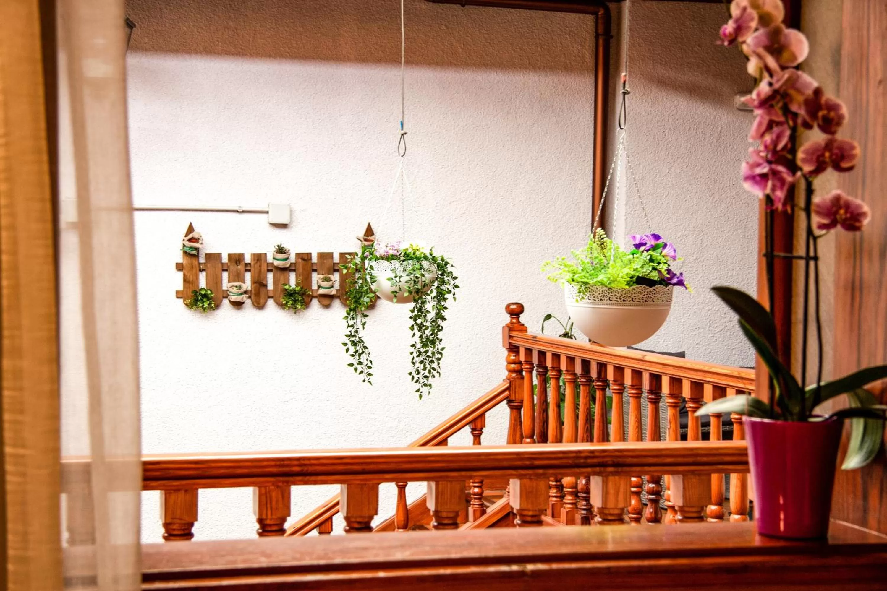 Inner courtyard view in Il Sogno di Gio de la Laguna