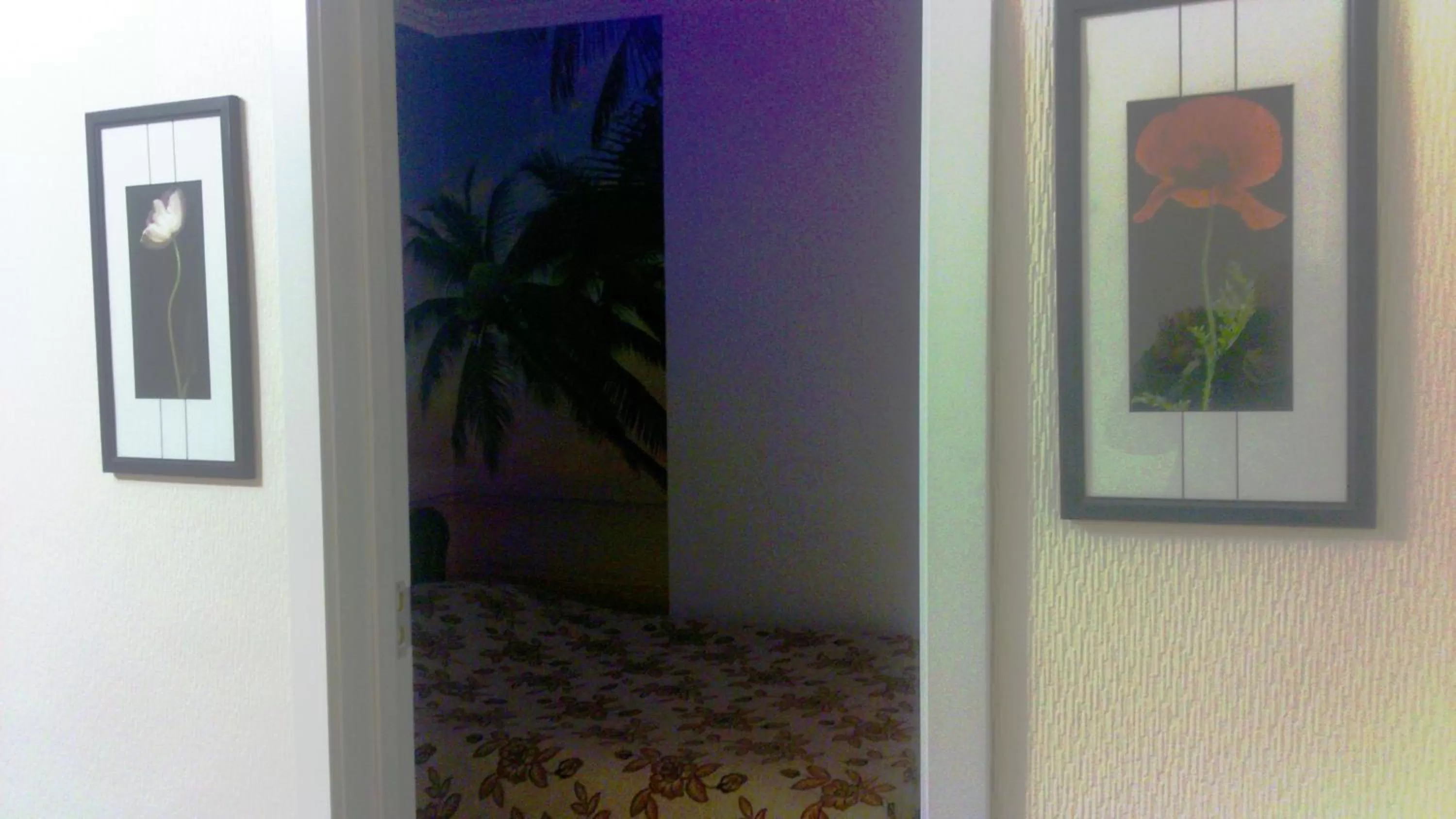 Hotel Lilo near Airport